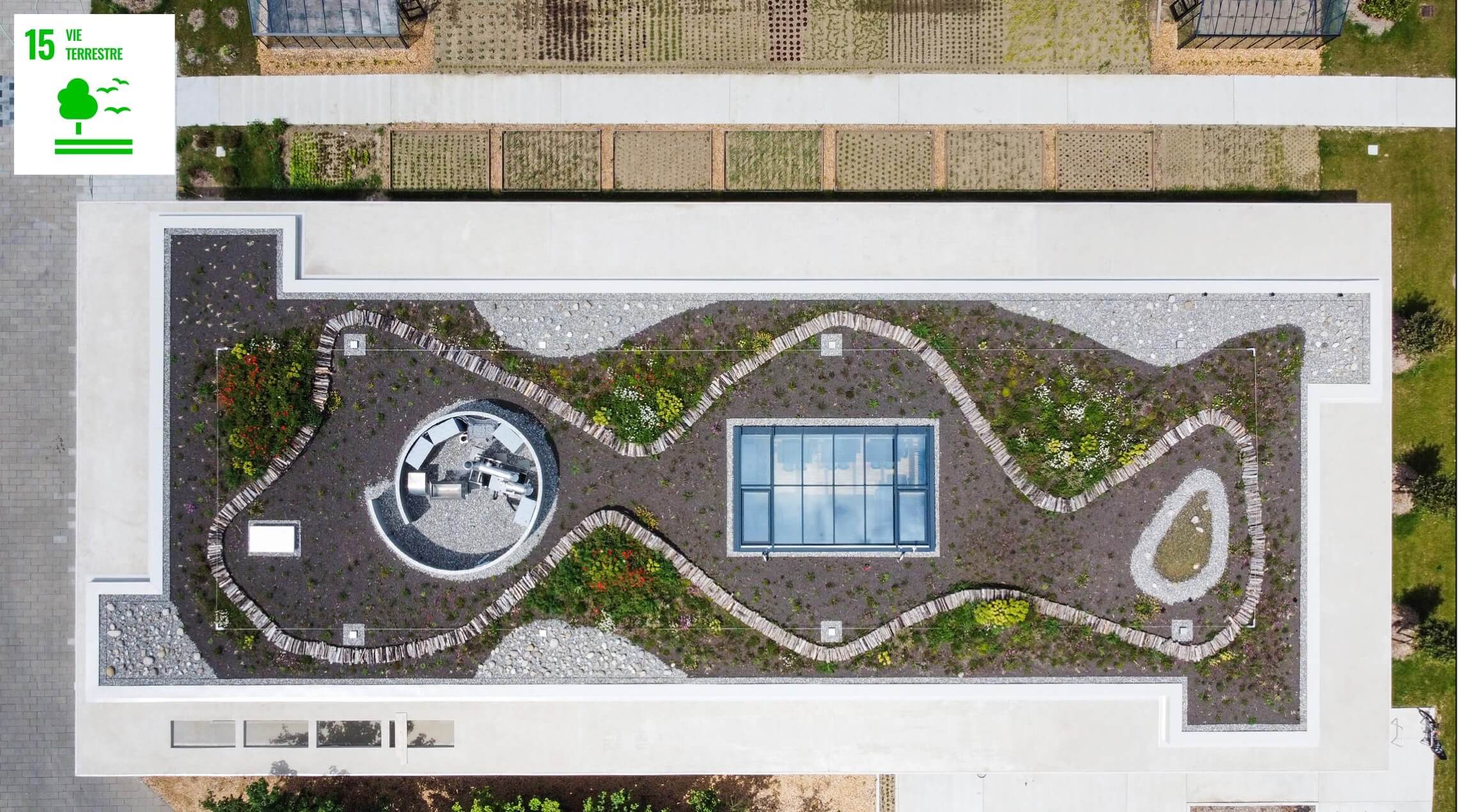 Thehive Campus Developmentdurable Toiturevegetalisee@2X