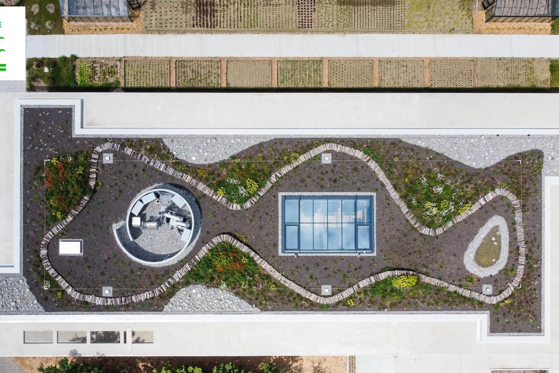 Thehive Campus Developmentdurable Toiturevegetalisee@2X Thehive Campus Developmentdurable Toiturevegetalisee@2X