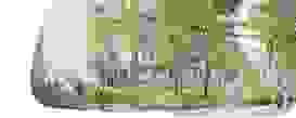 Im Farn Header Bilder 2409095 Im Farn Header Bilder 2409095