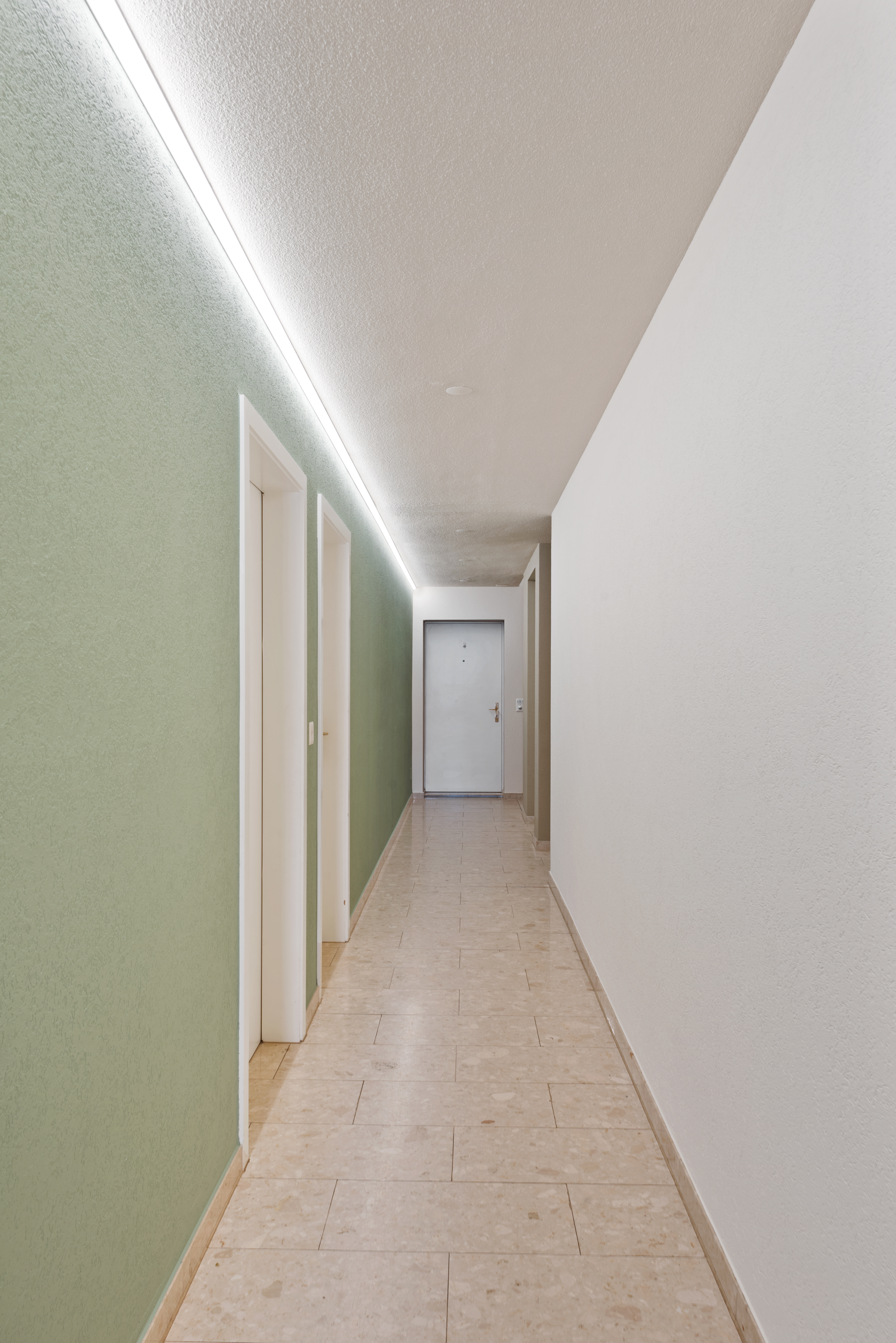 Backbone 50651 129 HD