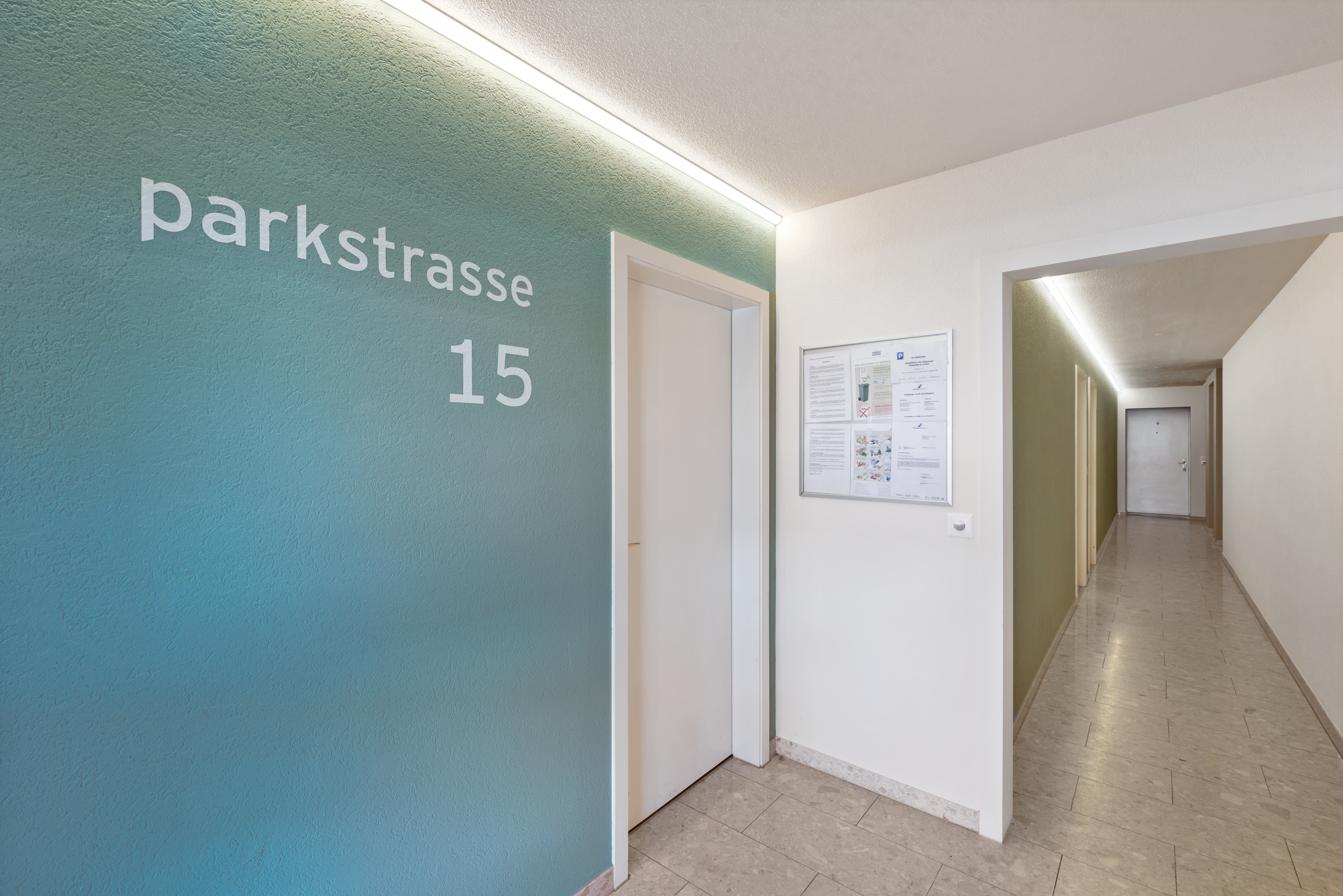 Backbone 50651 132 HD