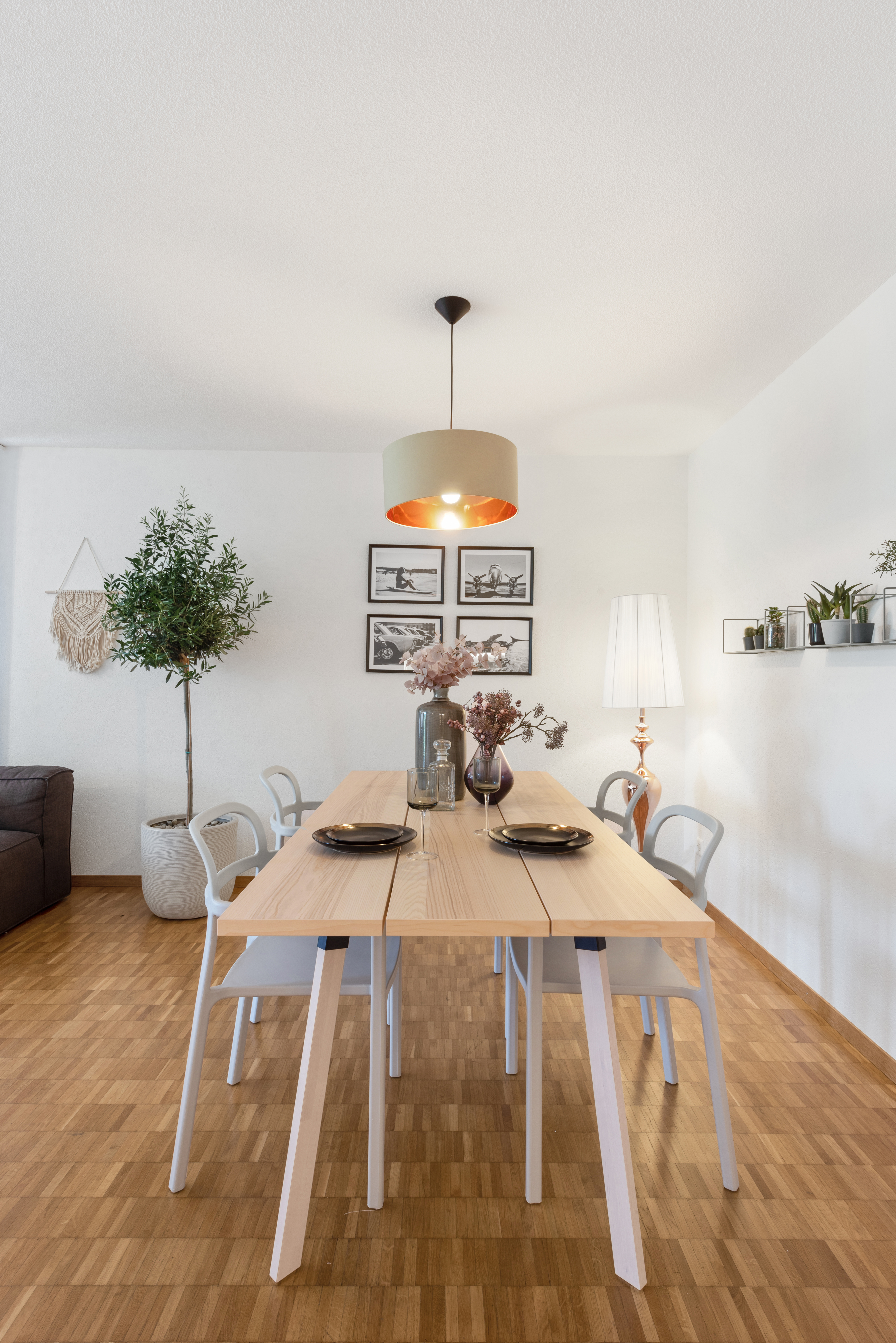 Backbone 50651 070 HD