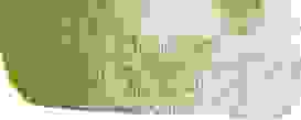 Im Farn Header Bilder 24090920 Im Farn Header Bilder 24090920