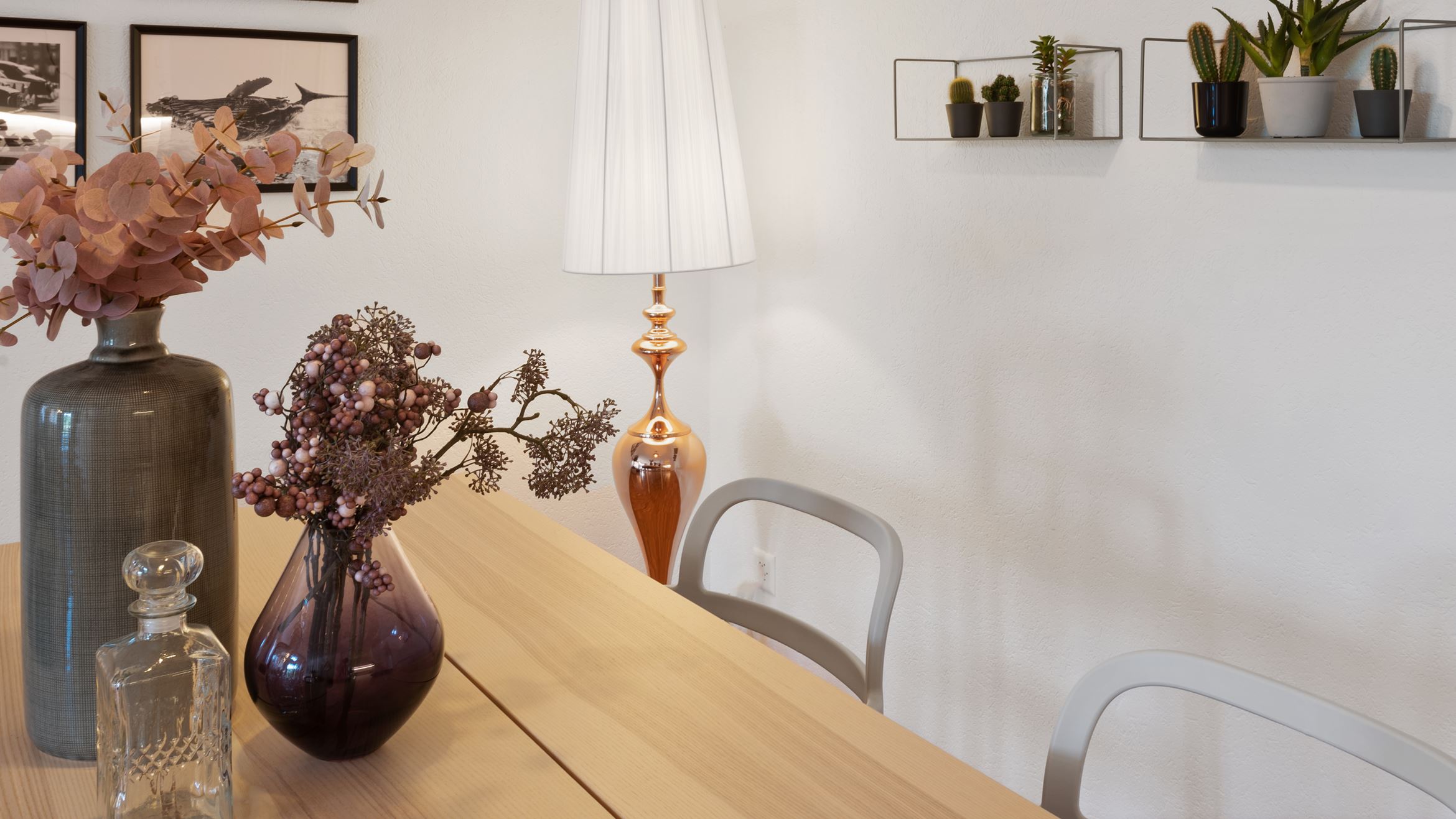 Backbone 50651 081 HD Backbone 50651 081 HD