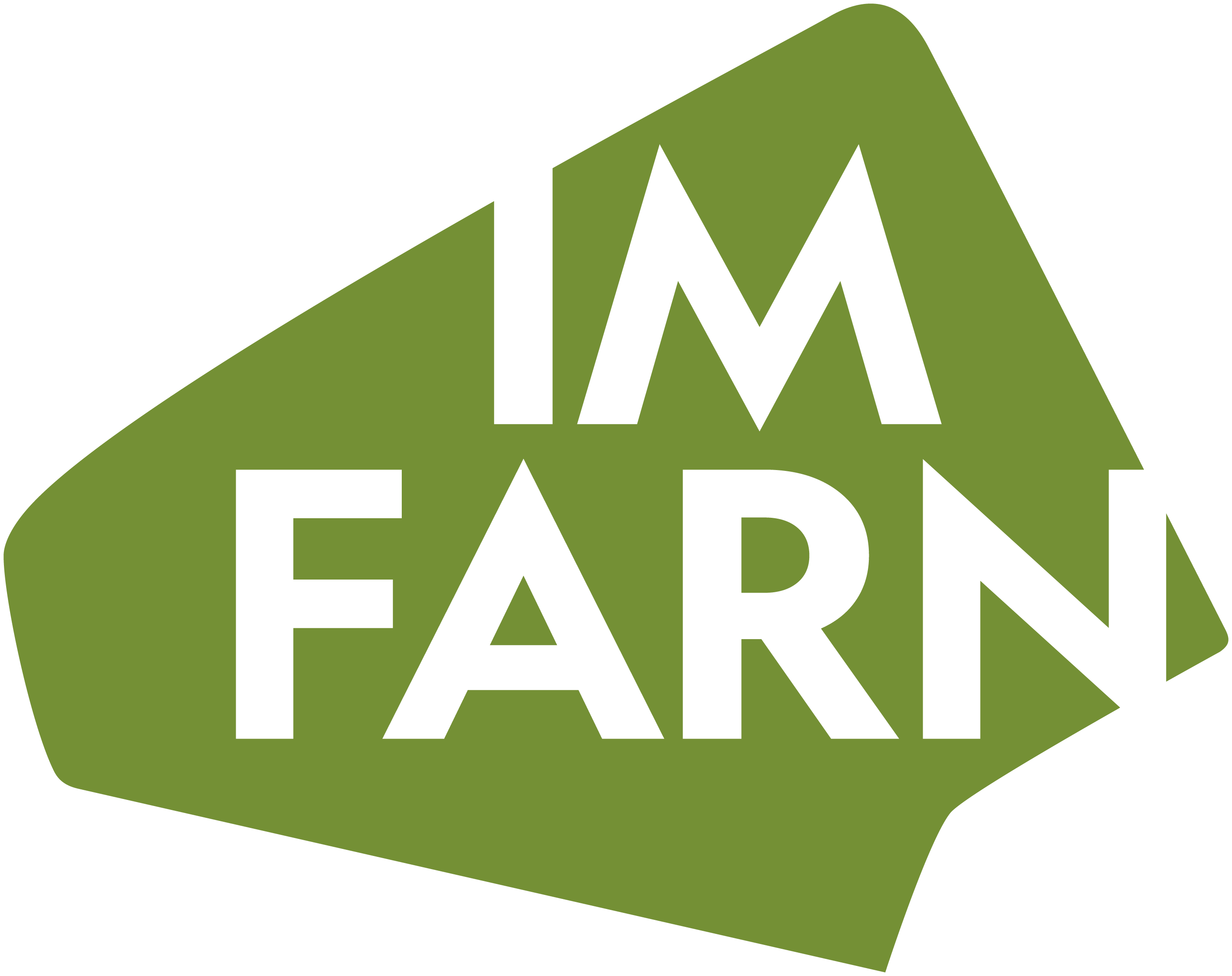 Im Farn Logo Rgb (1)
