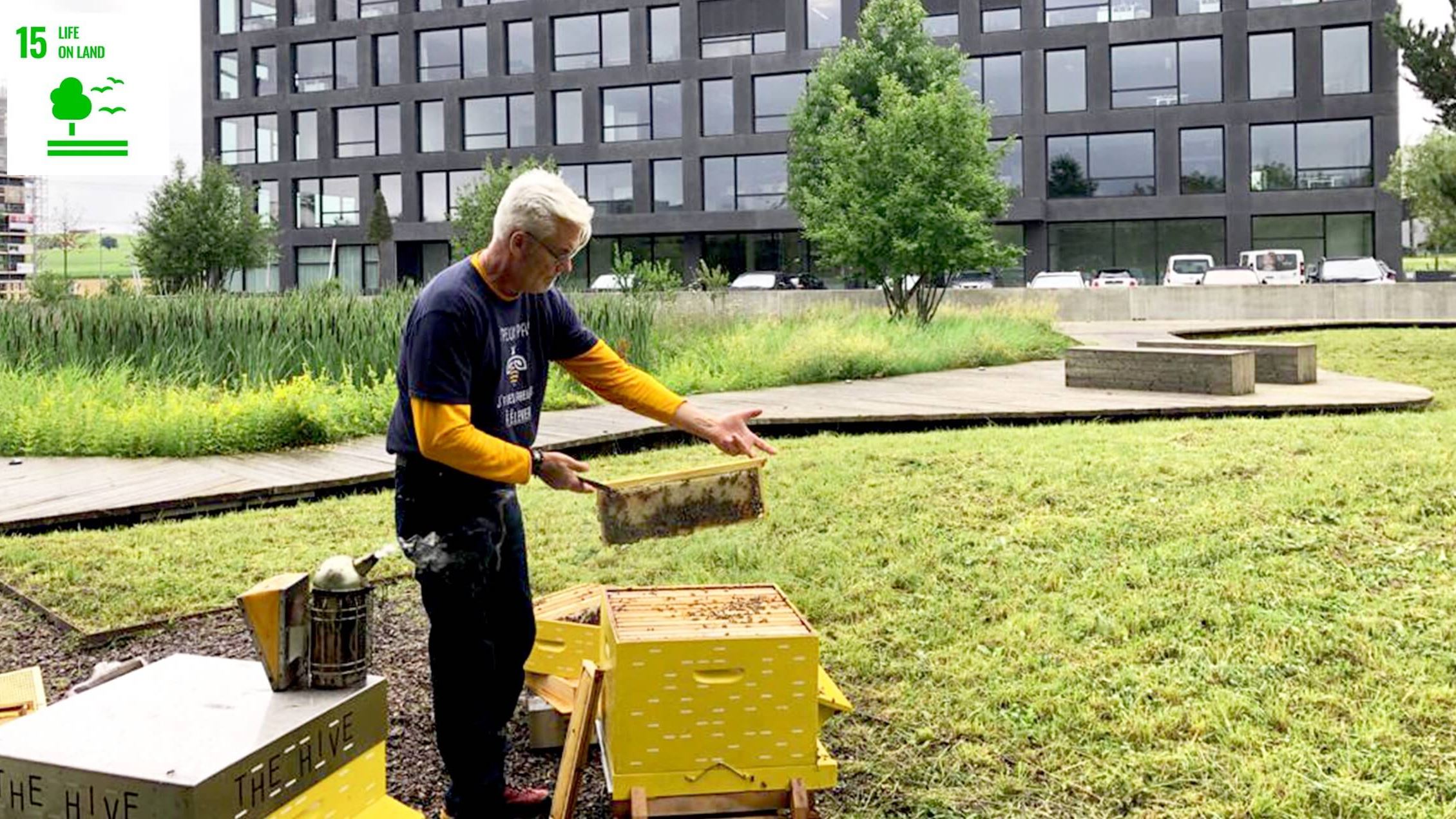 Thehive Campus Sustainabledevelopment Hives@2X (1) Thehive Campus Sustainabledevelopment Hives@2X (1)