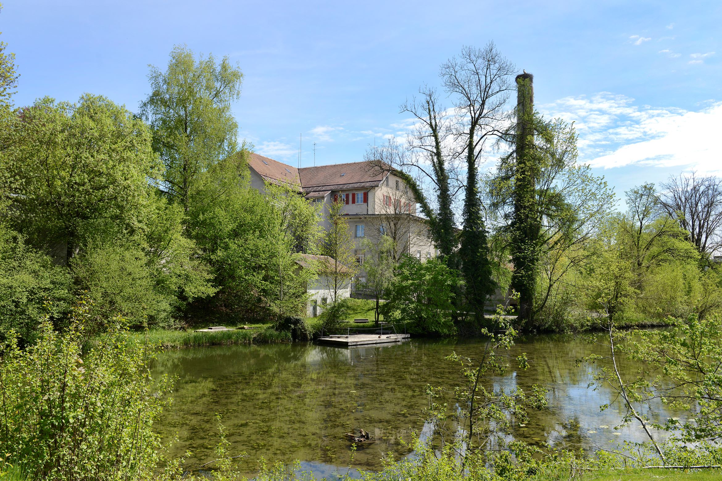 Wetzikon, Schönau Wetzikon, Schönau