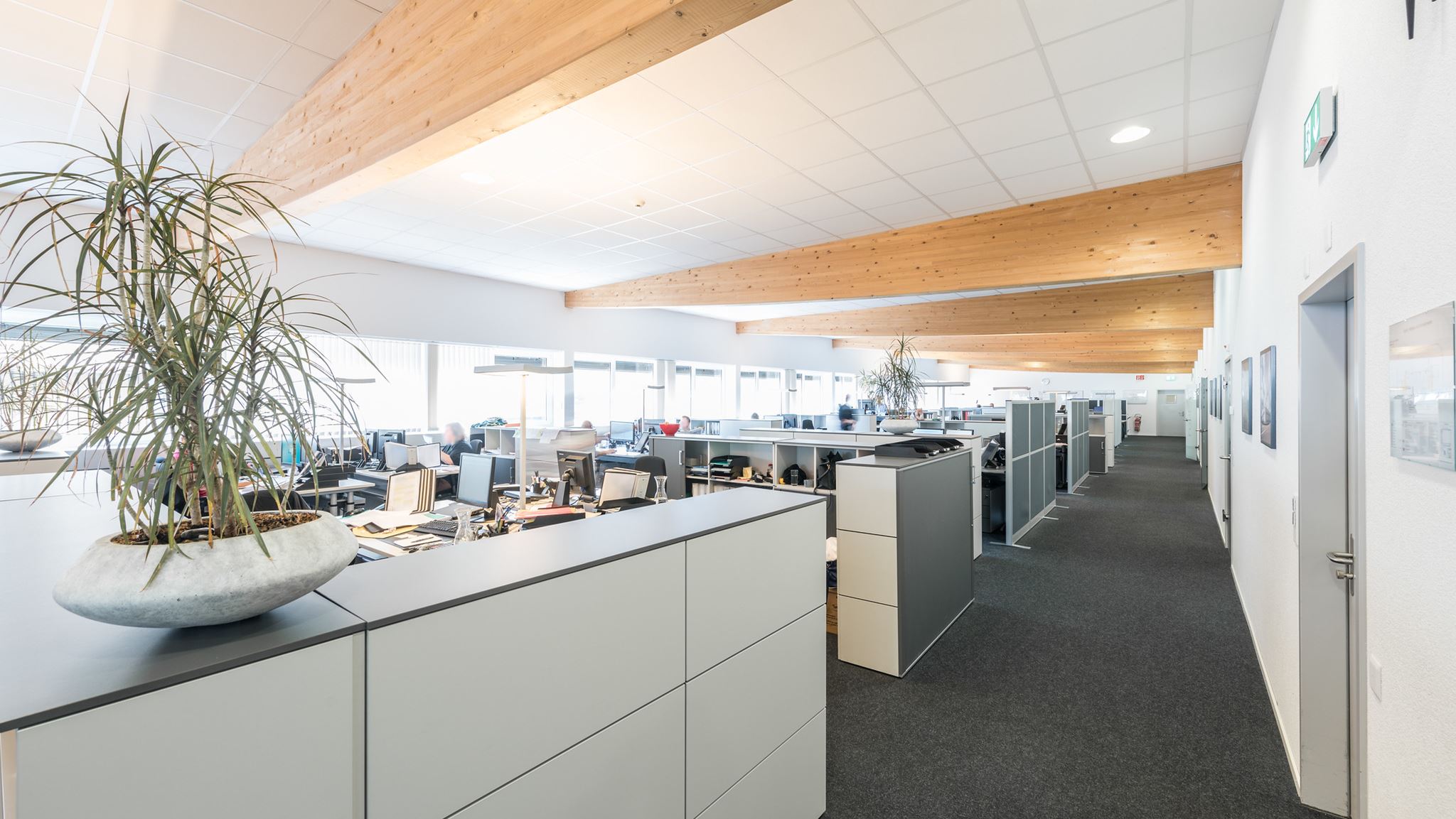 Klingnau Gewerbepark Büro Klingnau Gewerbepark Büro