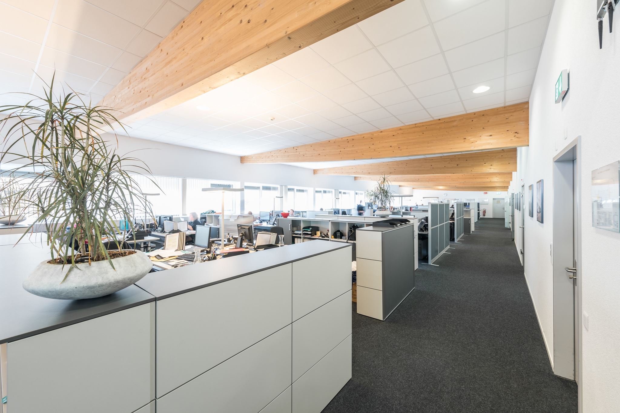 Klingnau Gewerbepark Büro Klingnau Gewerbepark Büro