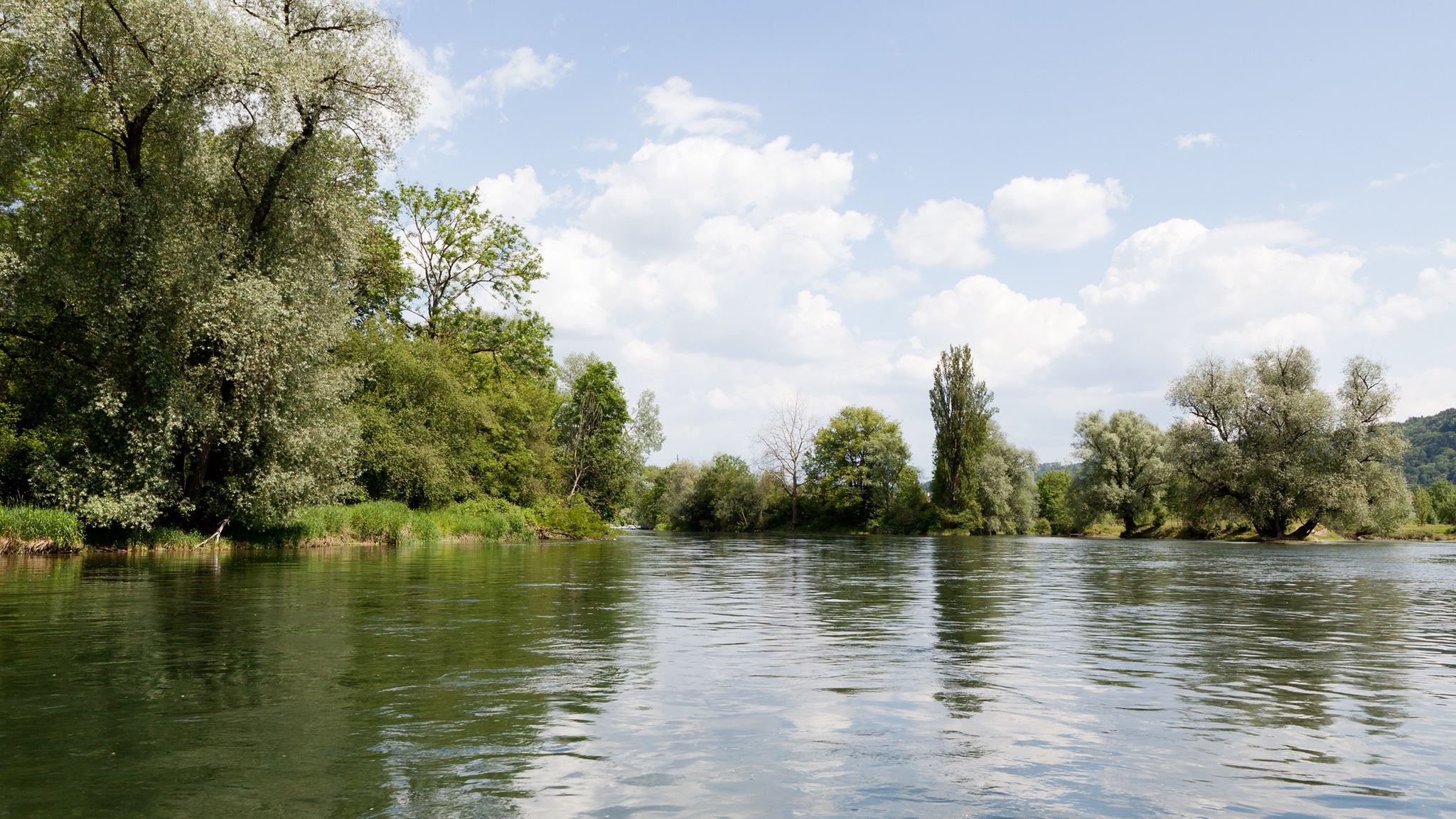 Windisch Gewässer Windisch Gewässer
