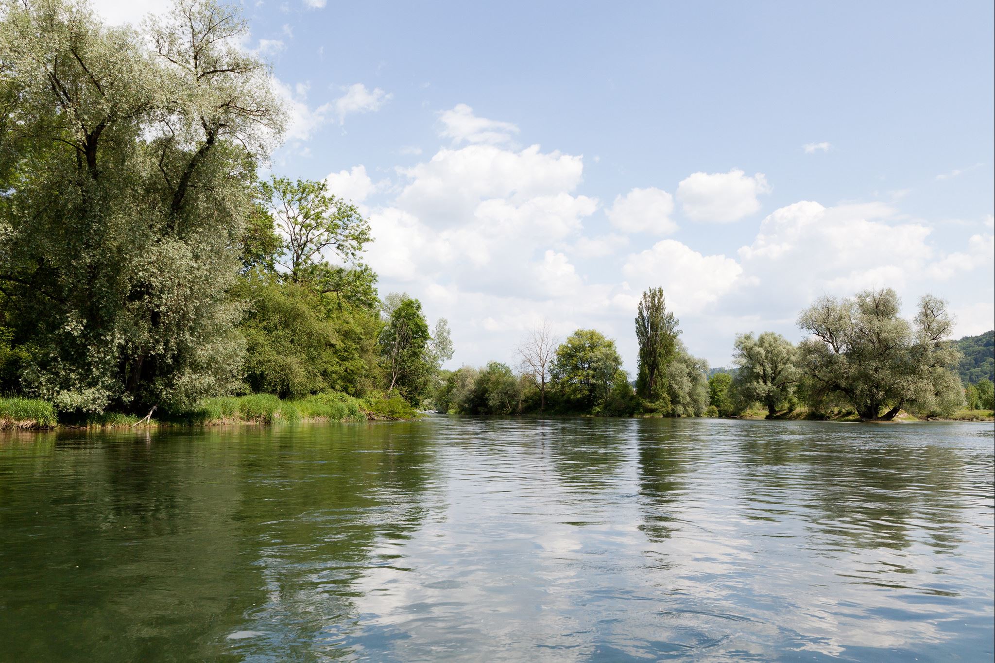 Windisch Gewässer Windisch Gewässer