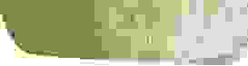 Im Farn Header Kontakt 240920 Im Farn Header Kontakt 240920