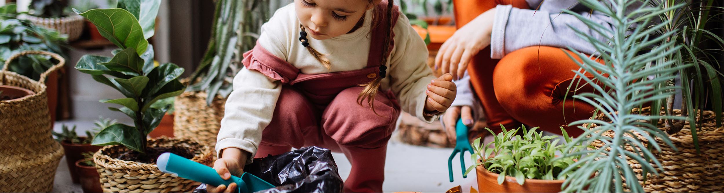 Fokusbild Projekt Fokusbild Projekt