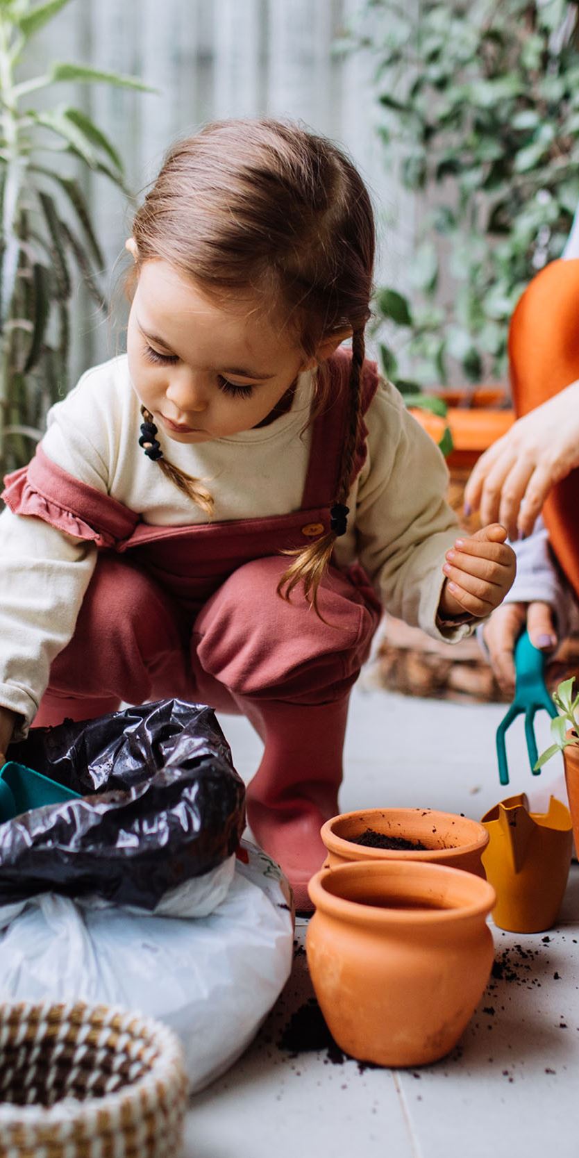 Fokusbild Projekt Fokusbild Projekt