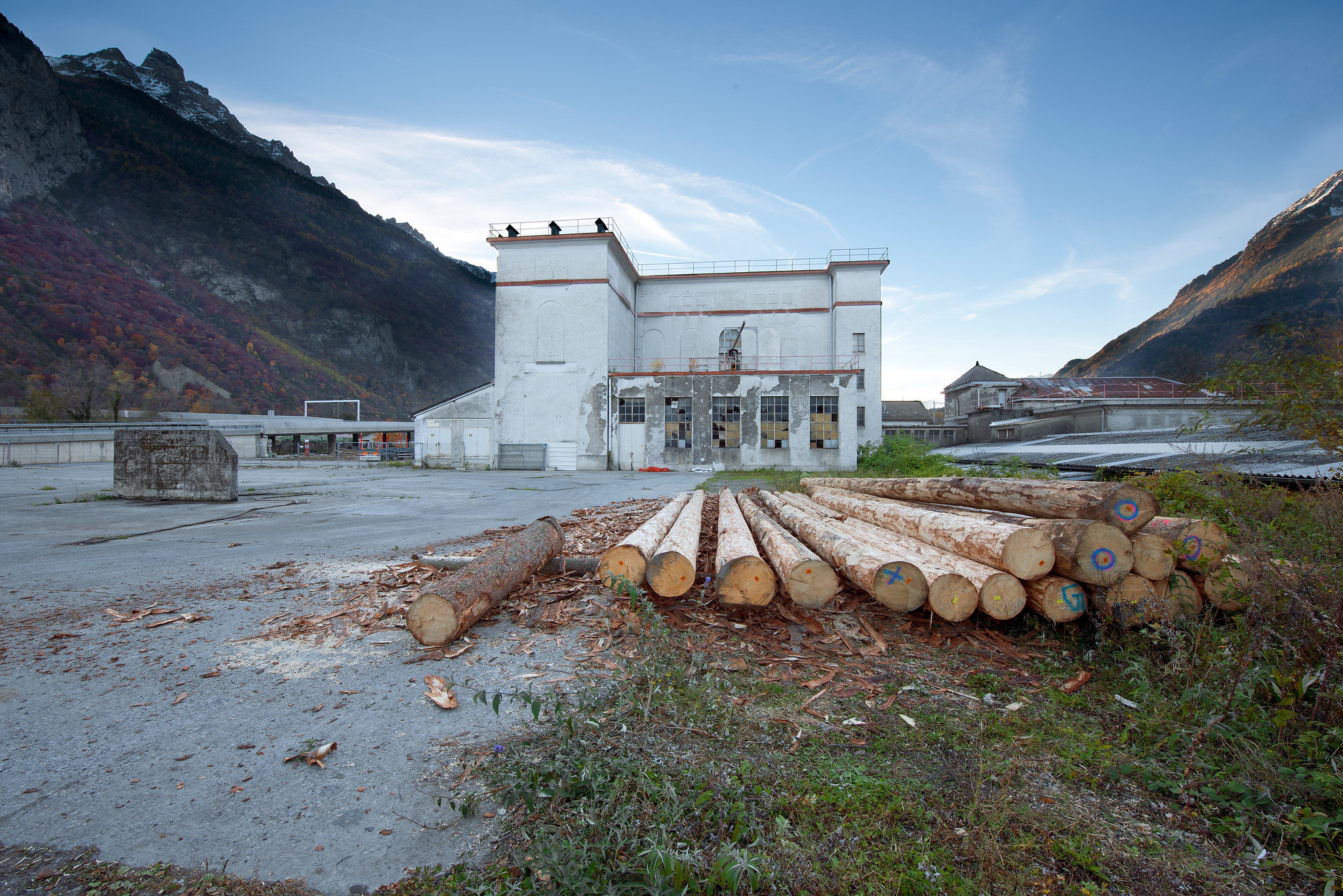 Saint Maurice HIAG-Areal Holzstaemme