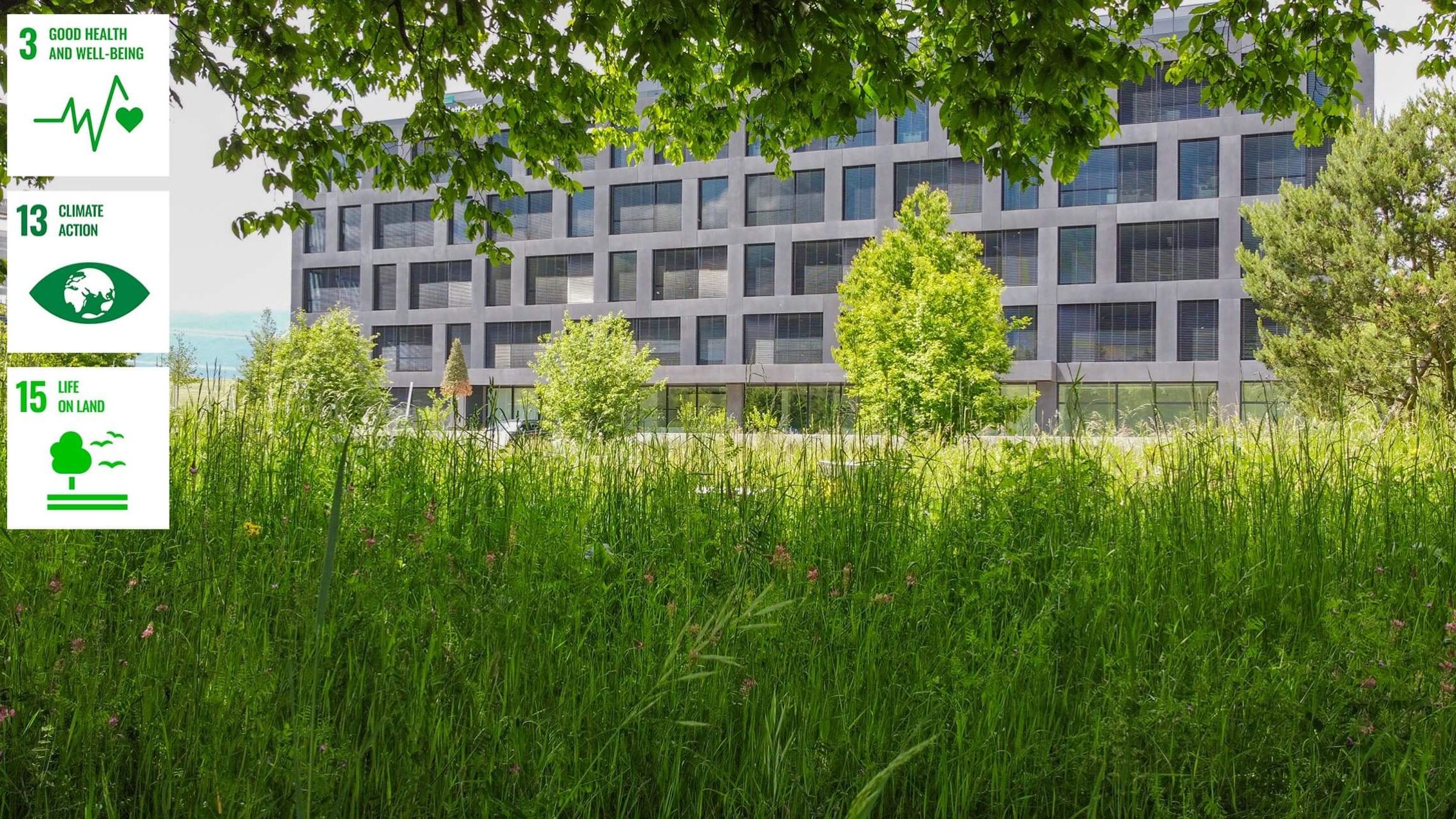 Thehive Campus Sustainabledevelopment Forest@2X (1) Thehive Campus Sustainabledevelopment Forest@2X (1)