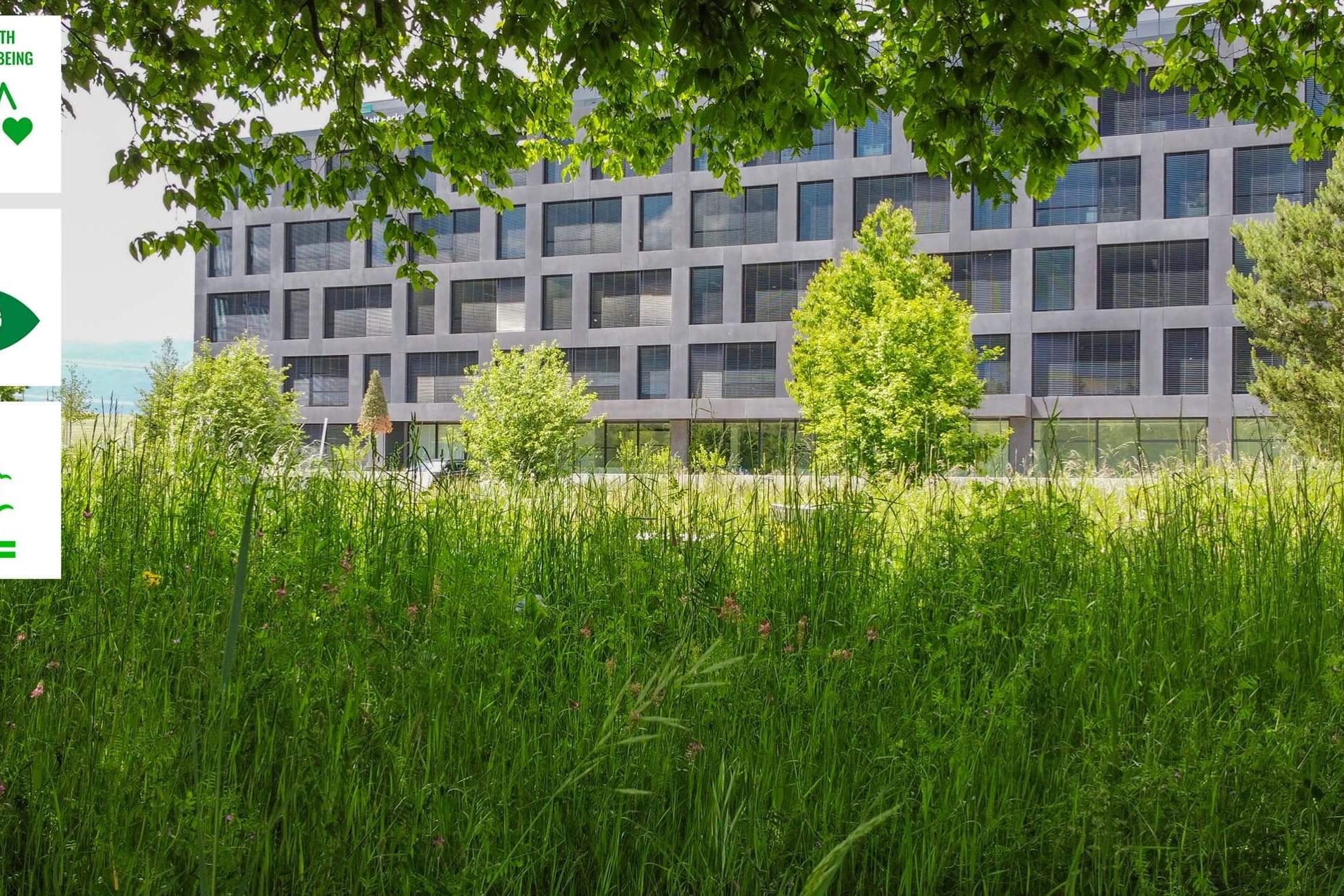 Thehive Campus Sustainabledevelopment Forest@2X (1) Thehive Campus Sustainabledevelopment Forest@2X (1)