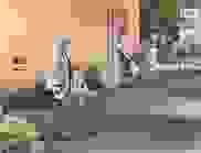 Visualisierung 3 Ausschnitt1 Visualisierung 3 Ausschnitt1