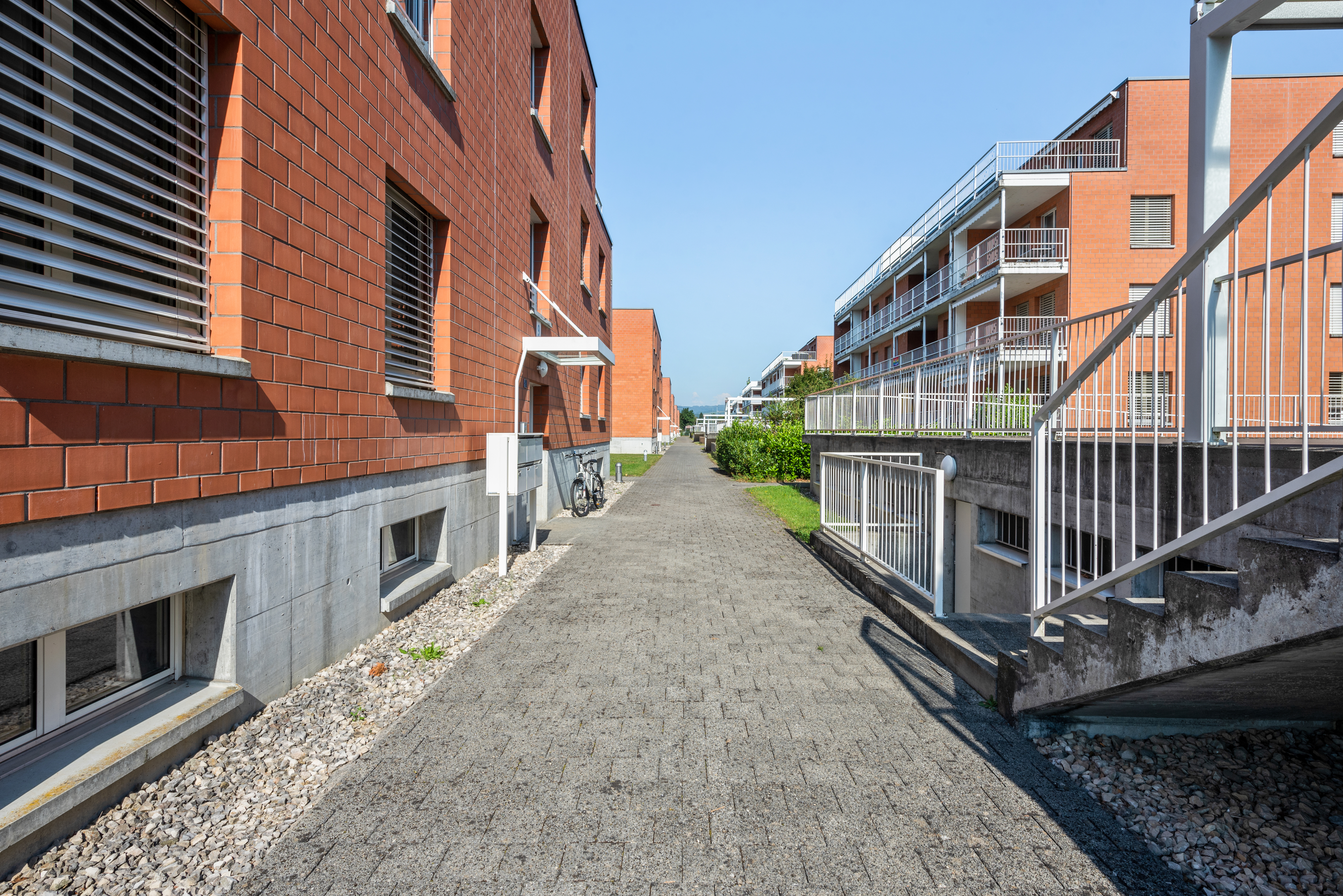 Backbone 51368 038 HD