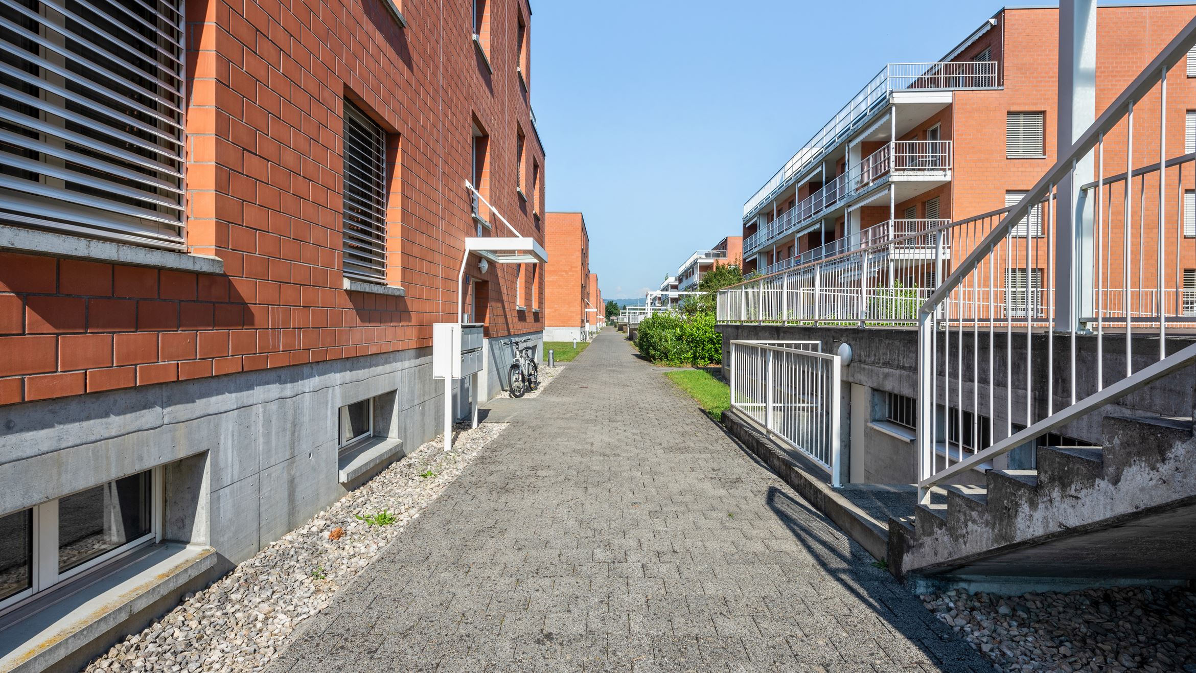 Backbone 51368 038 HD Backbone 51368 038 HD