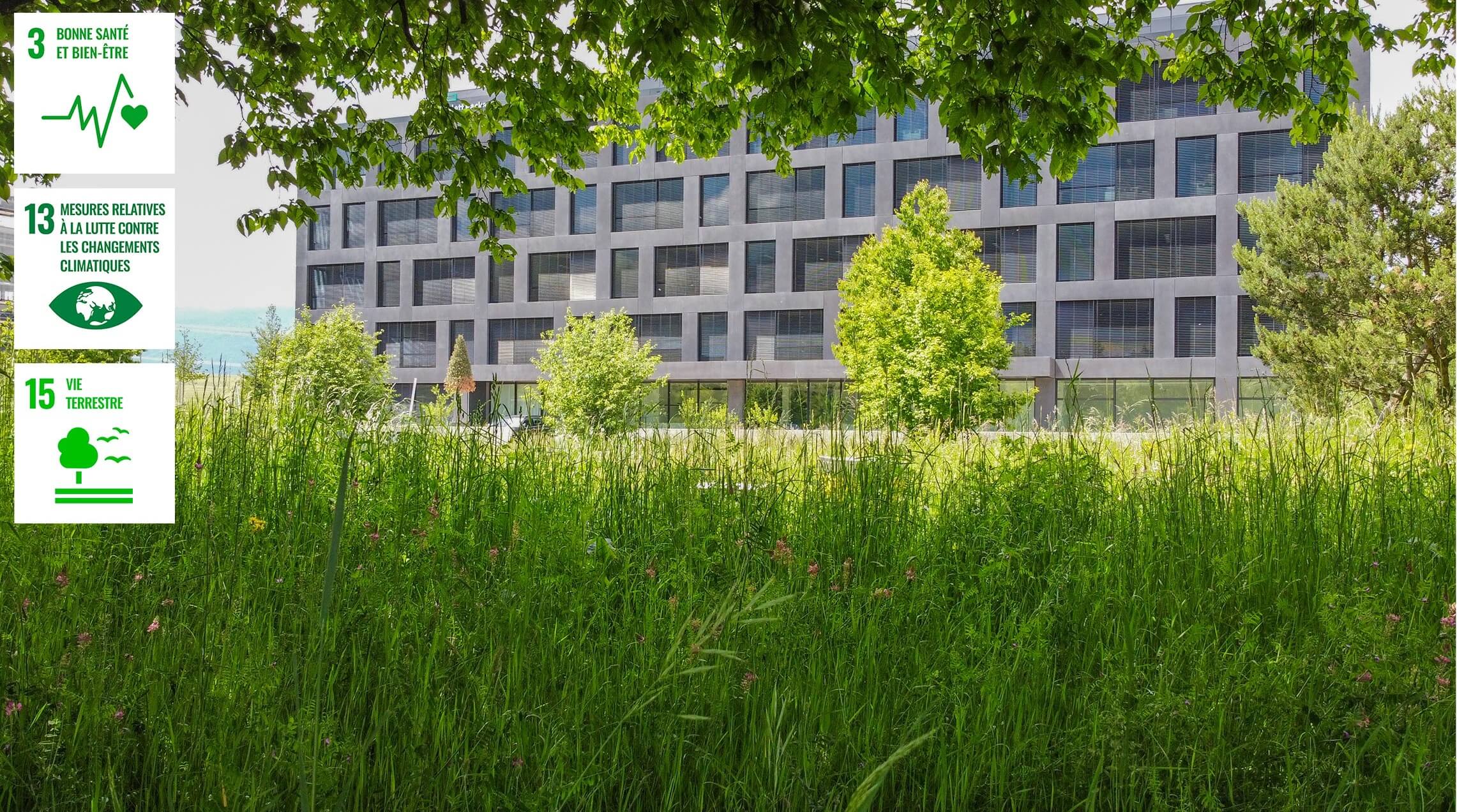 Thehive Campus Developmentdurable Forethabitee@2X (1)