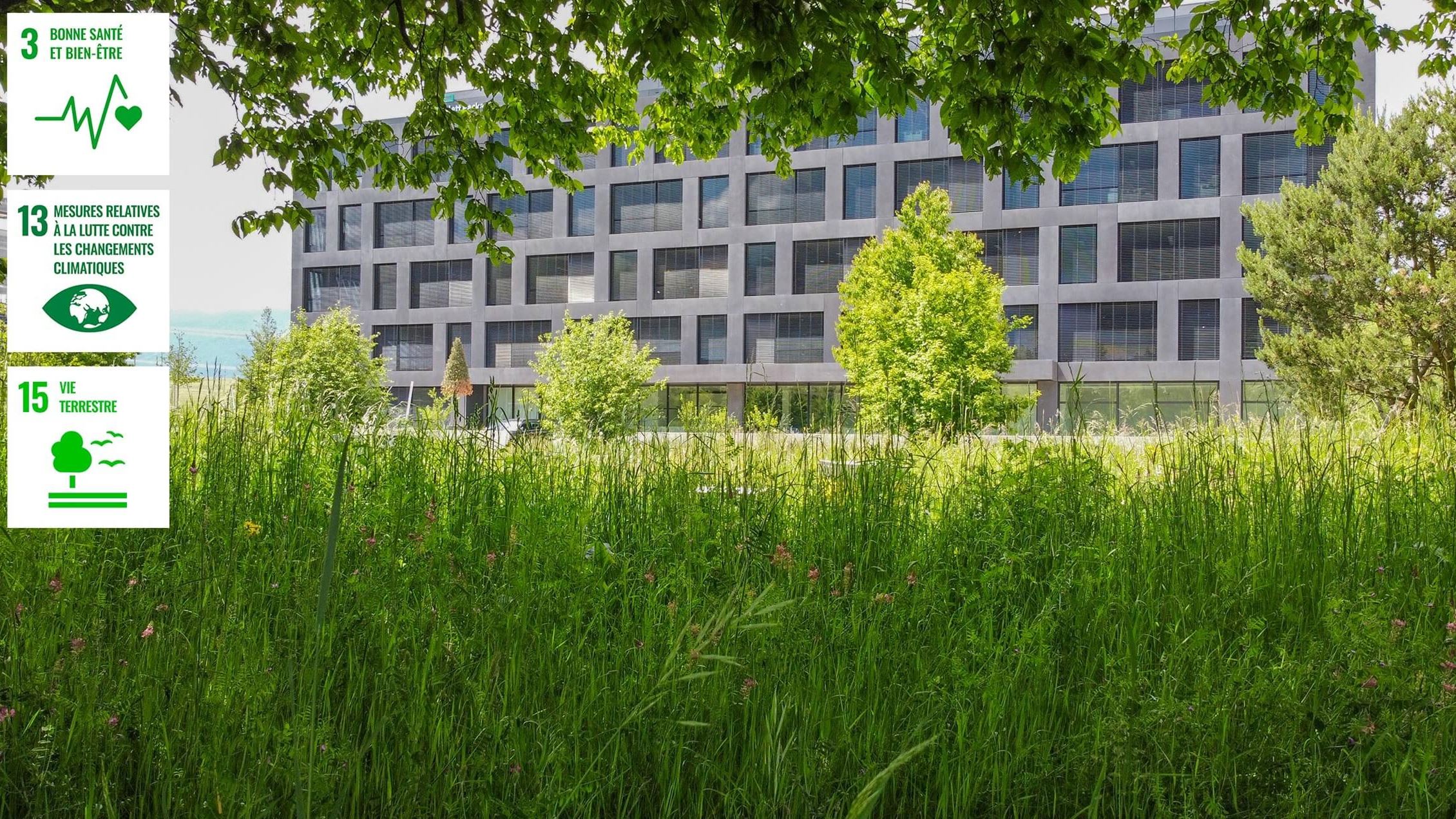 Thehive Campus Developmentdurable Forethabitee@2X (1) Thehive Campus Developmentdurable Forethabitee@2X (1)