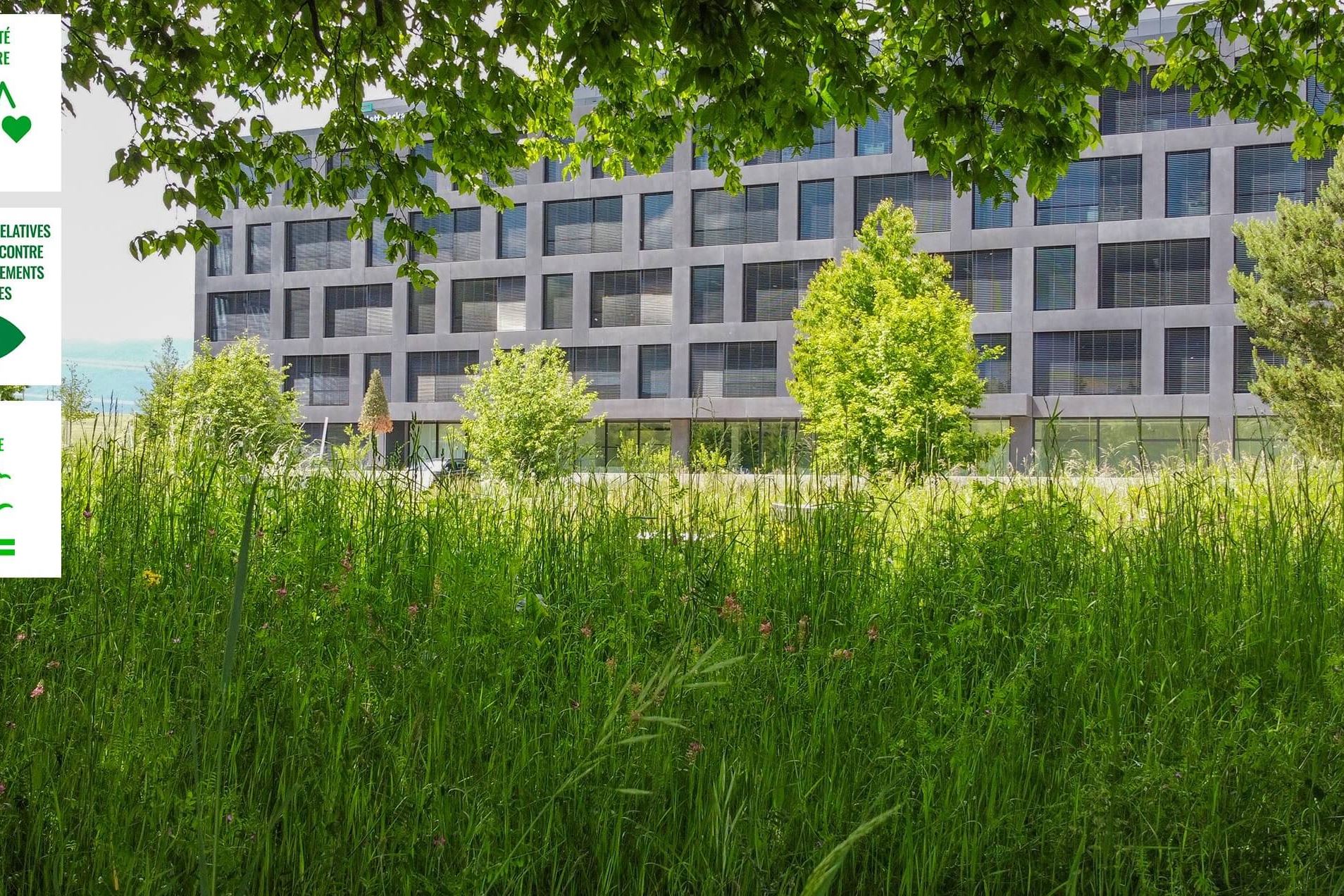 Thehive Campus Developmentdurable Forethabitee@2X (1) Thehive Campus Developmentdurable Forethabitee@2X (1)