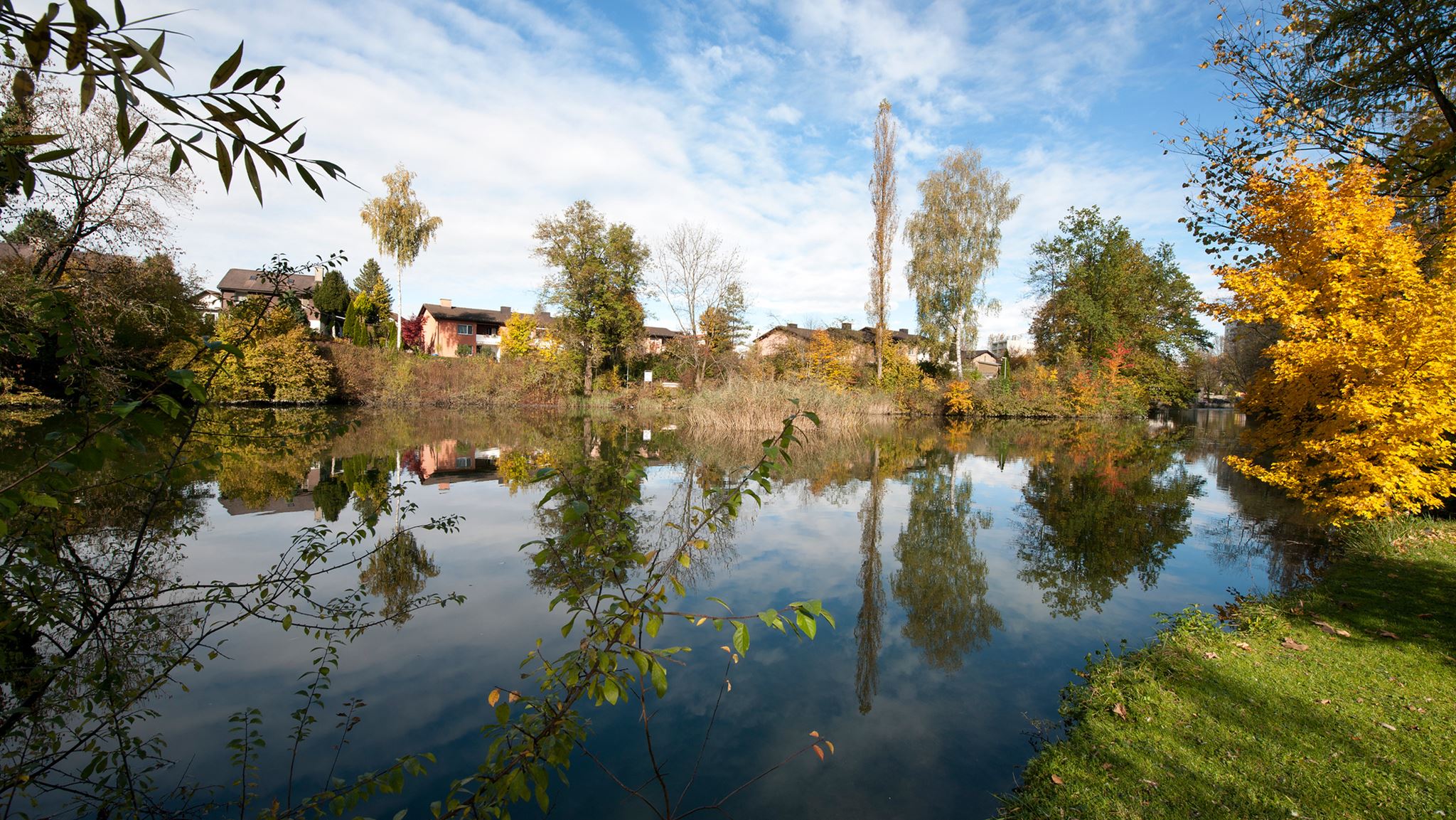 Wetzikon Schoenau Gewaesser Wetzikon Schoenau Gewaesser