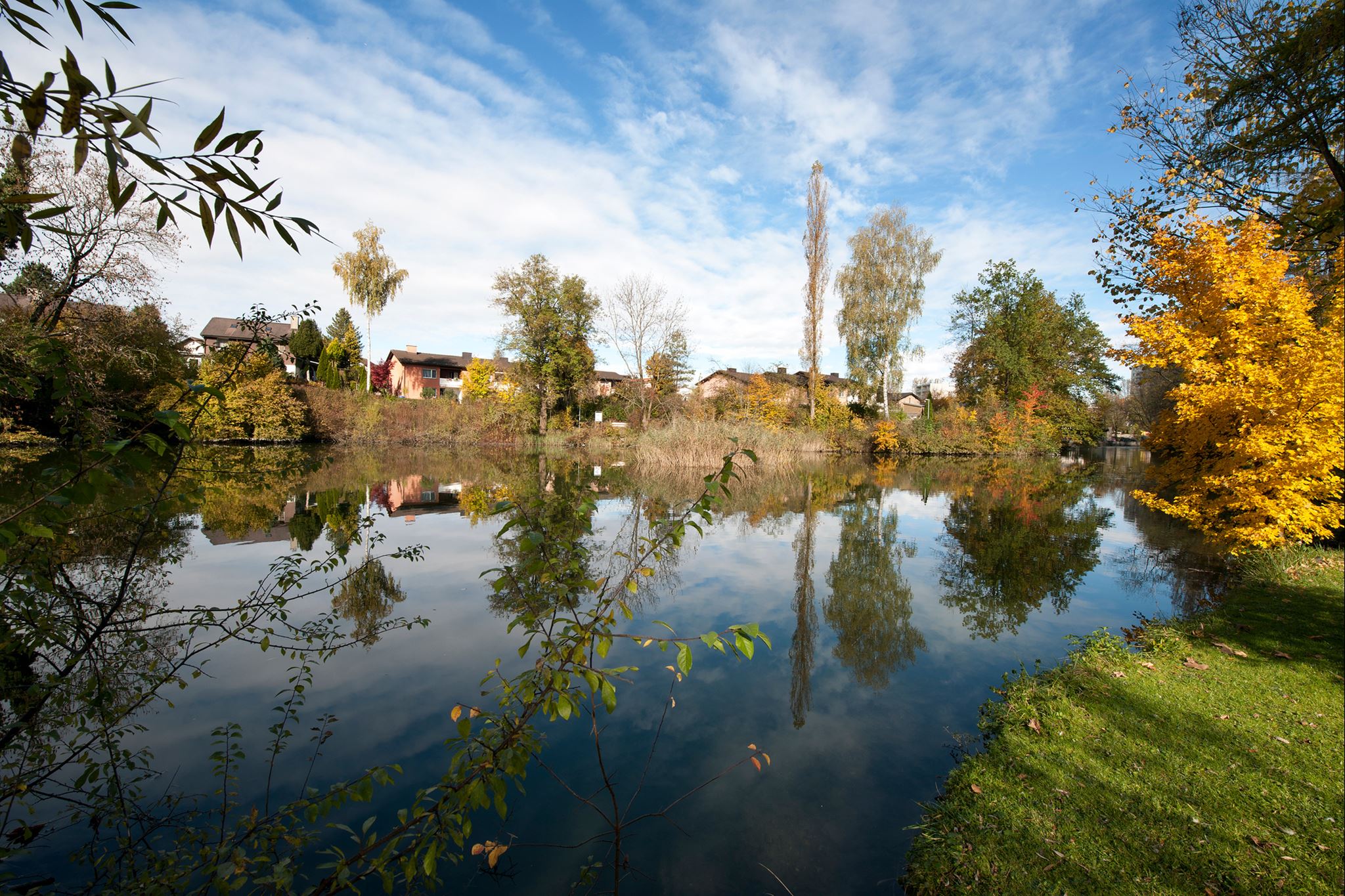 Wetzikon Schoenau Gewaesser