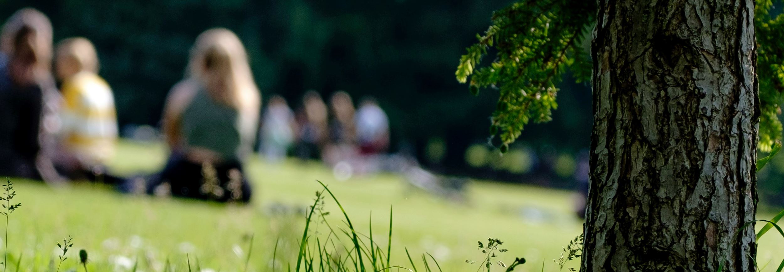 Krisztina Papp Nd5zjaxkrqo Unsplash Kopie Krisztina Papp Nd5zjaxkrqo Unsplash Kopie