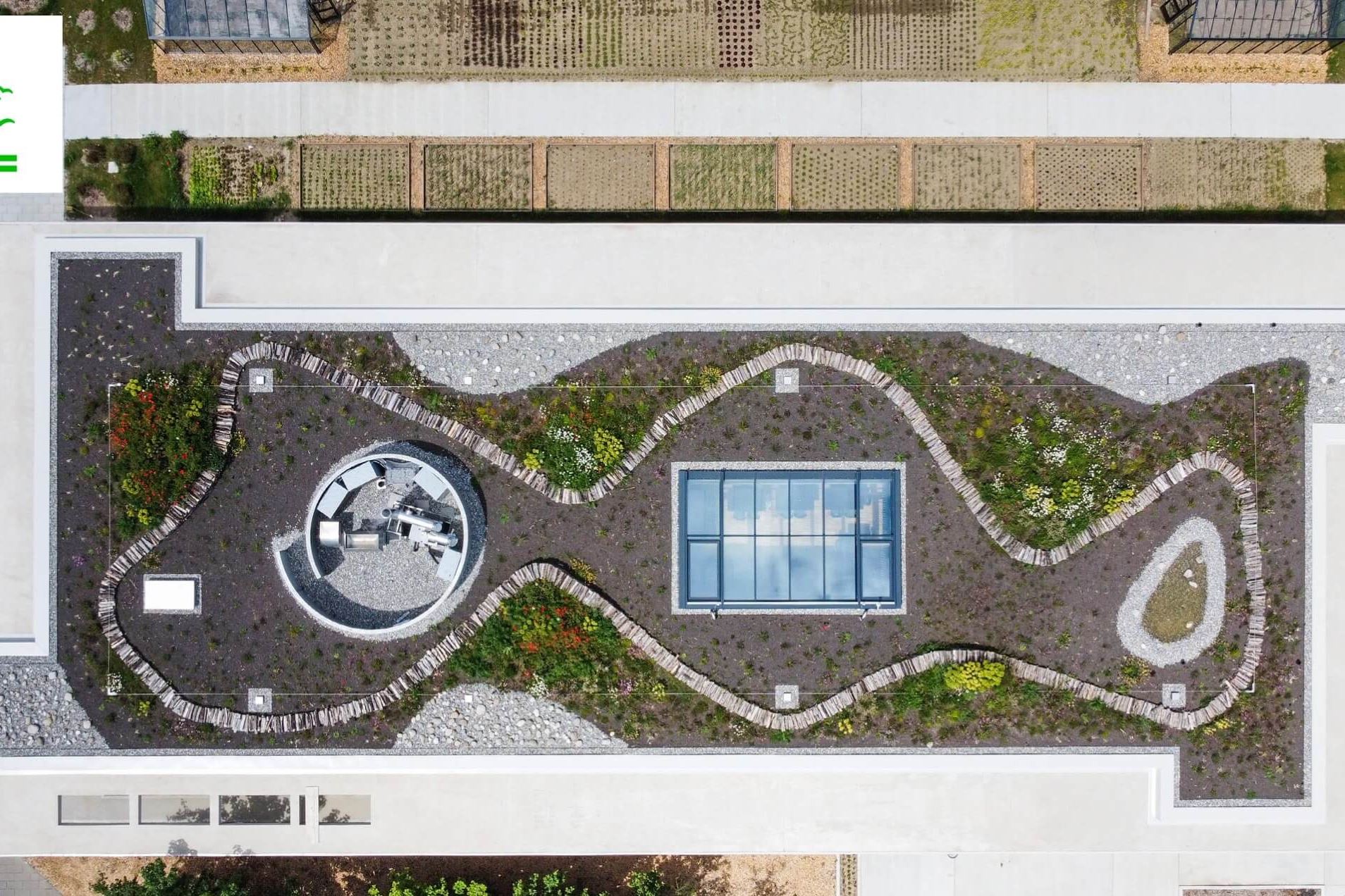 Thehive Campus Sustainabledevelopment Greenroof@2X Thehive Campus Sustainabledevelopment Greenroof@2X