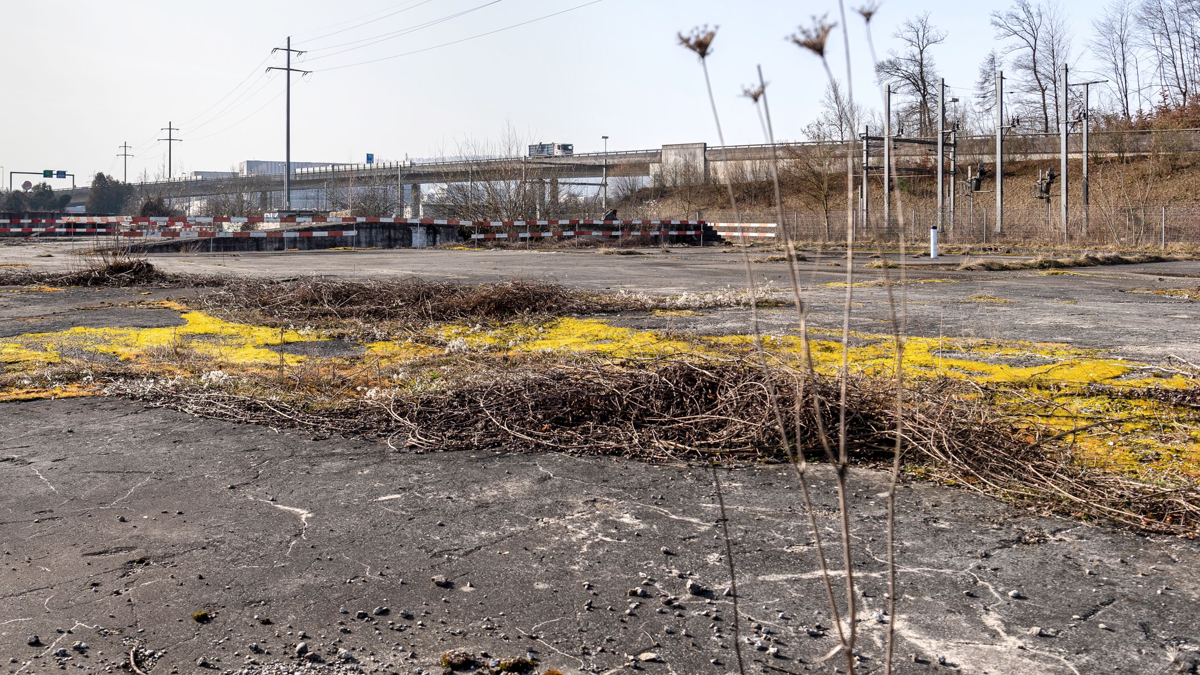 Campus Reichhold Brache Campus Reichhold Brache