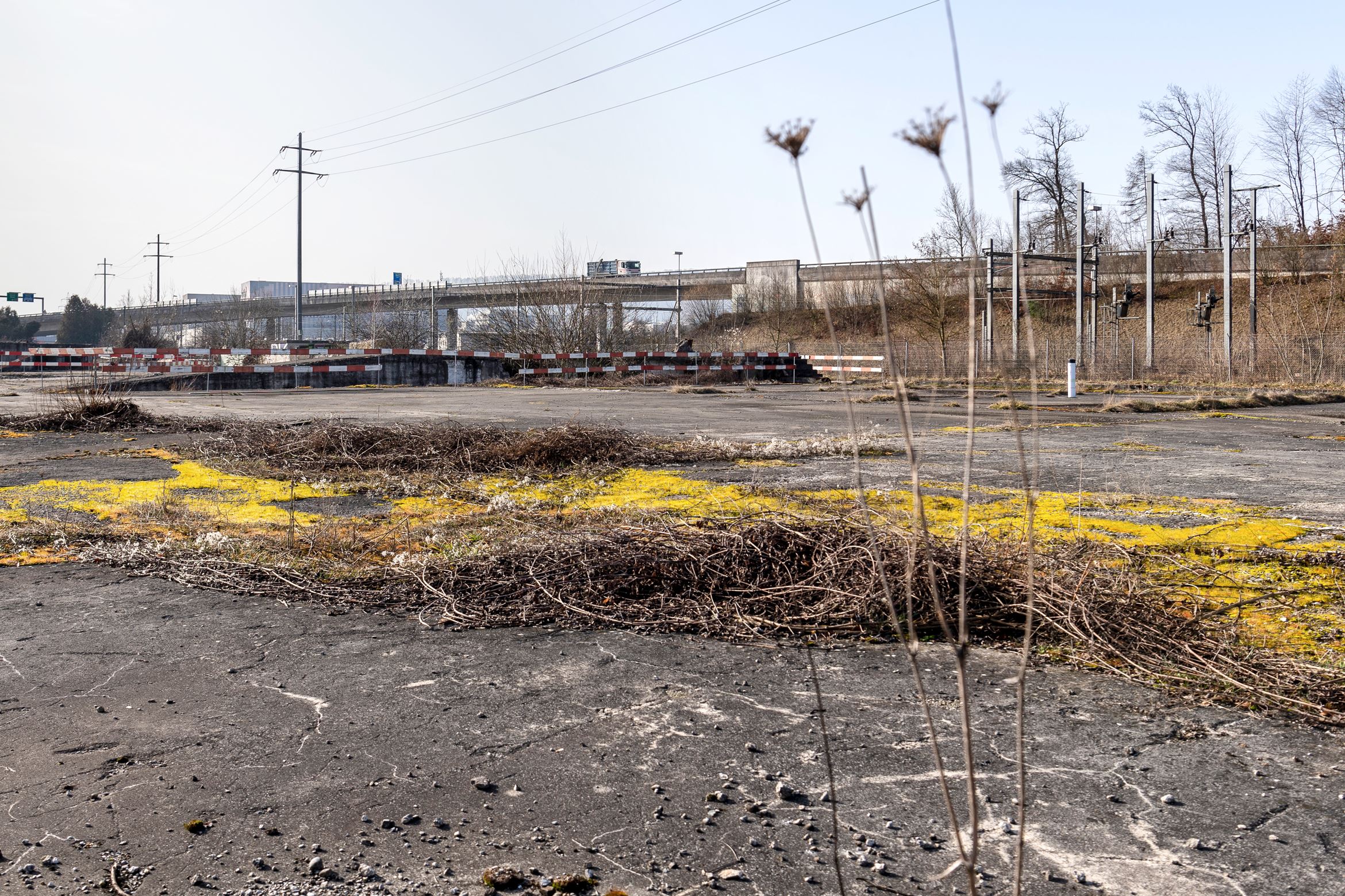 Campus Reichhold Brache Campus Reichhold Brache