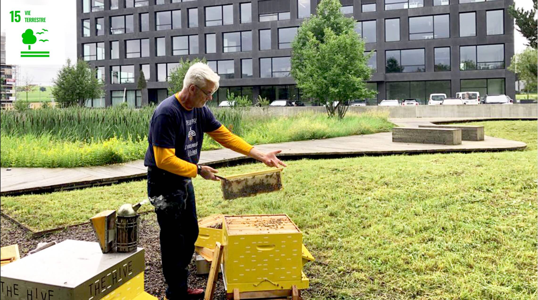 Thehive Campus Developmentdurable Lesruches@2X (1)