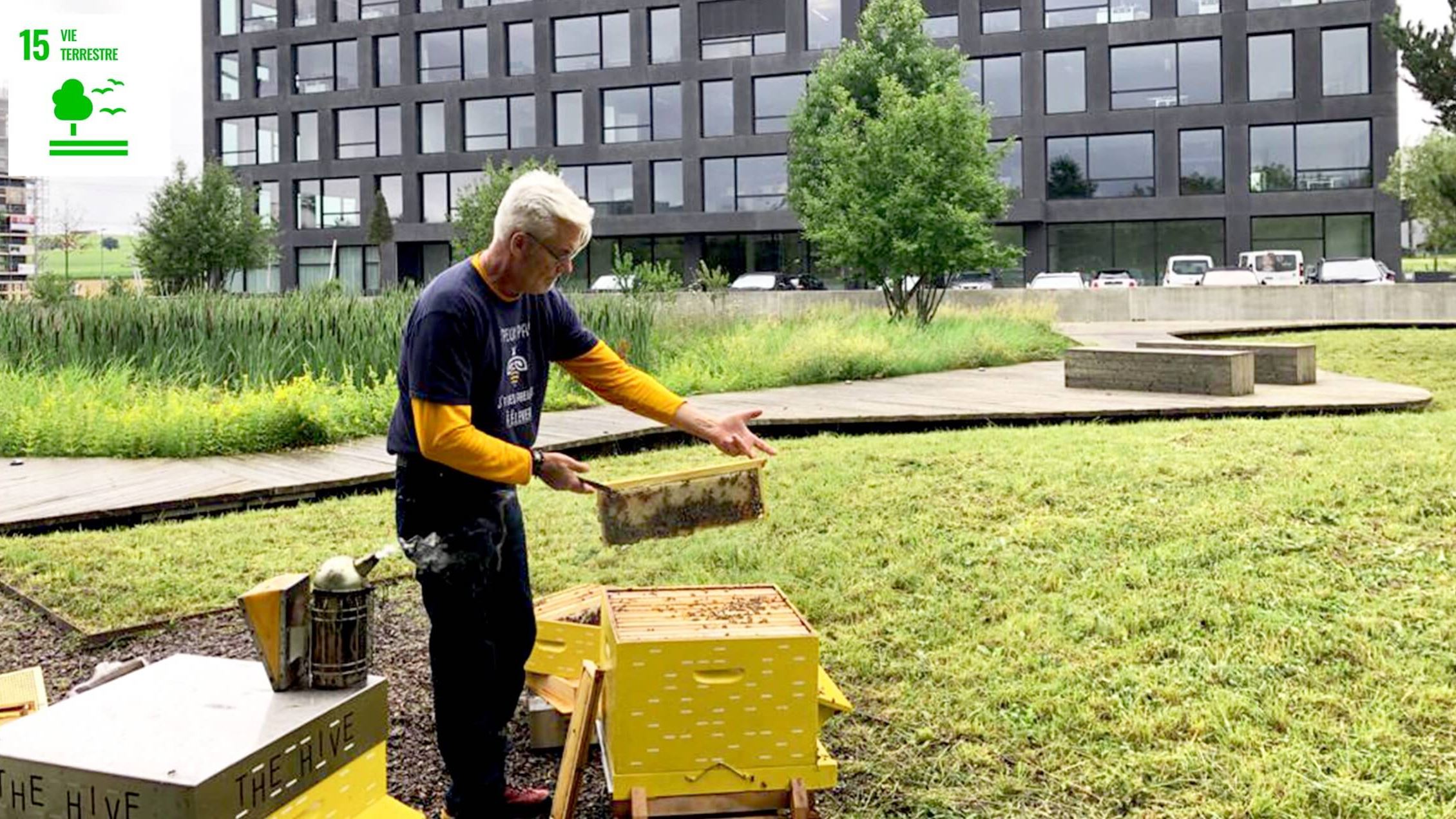 Thehive Campus Developmentdurable Lesruches@2X (1) Thehive Campus Developmentdurable Lesruches@2X (1)