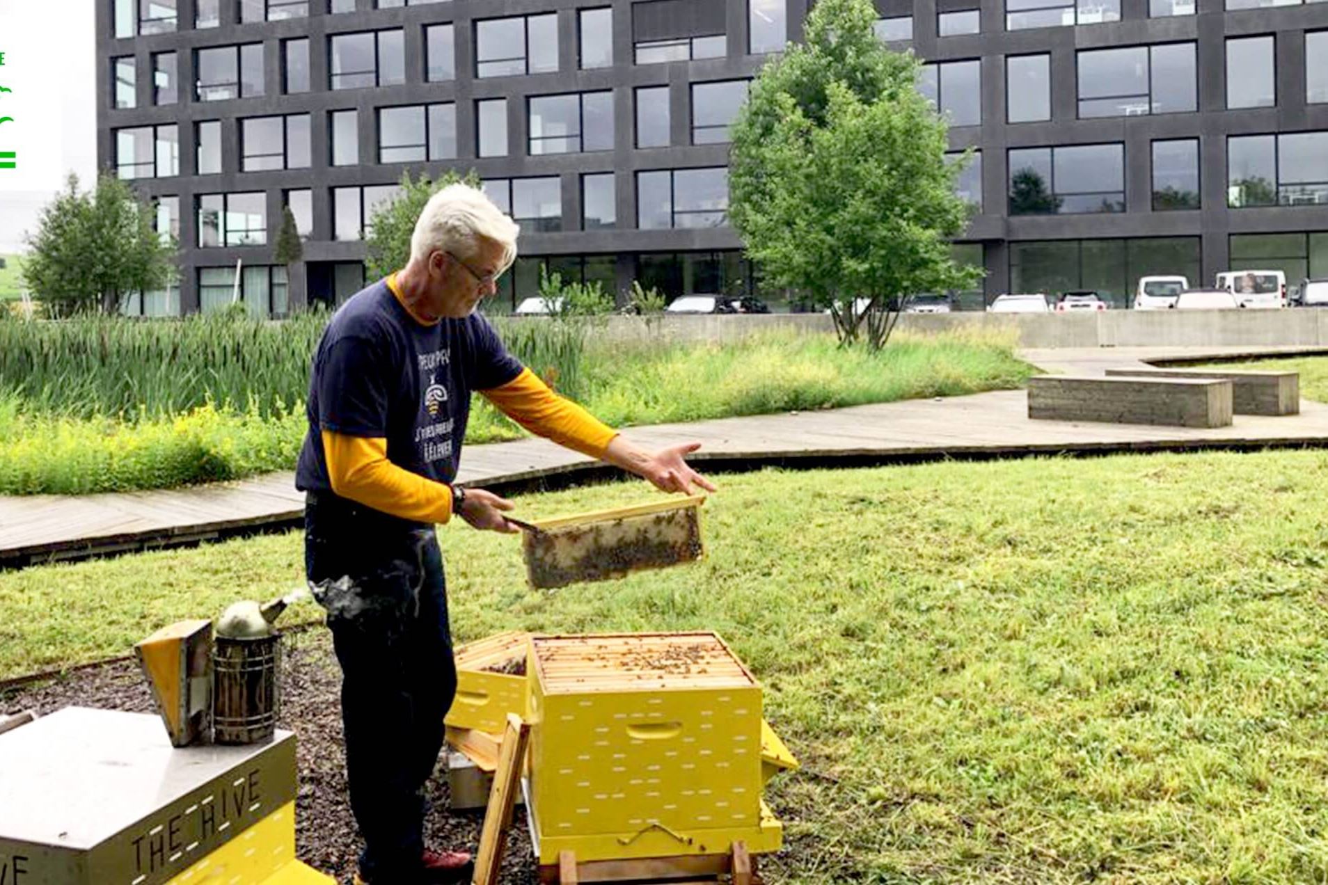 Thehive Campus Developmentdurable Lesruches@2X (1) Thehive Campus Developmentdurable Lesruches@2X (1)