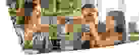 Im Farn Header Bilder 24090914 Im Farn Header Bilder 24090914
