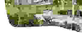 Im Farn Header Bilder 2409098 Im Farn Header Bilder 2409098