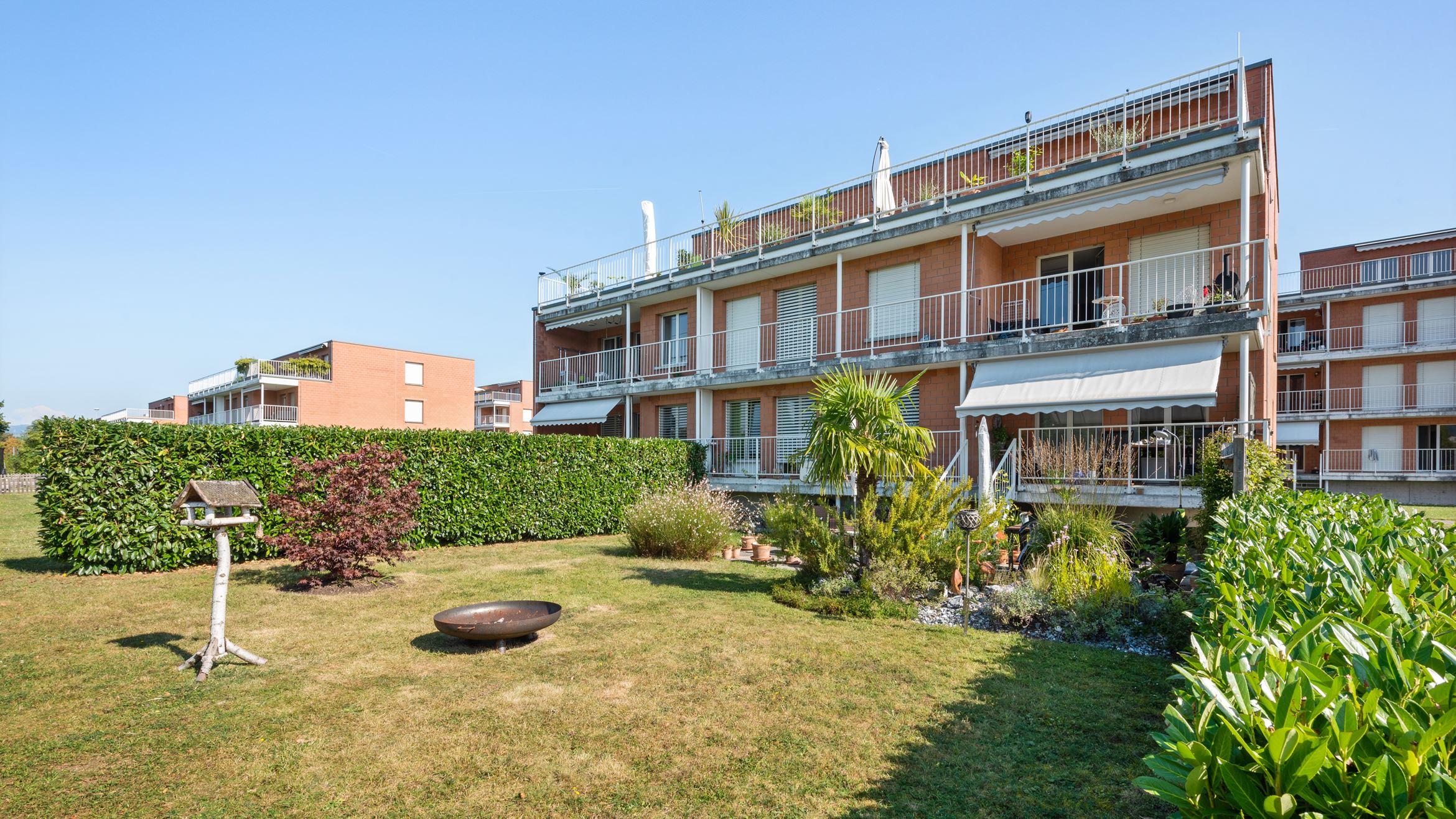 Backbone 51368 041 HD Backbone 51368 041 HD