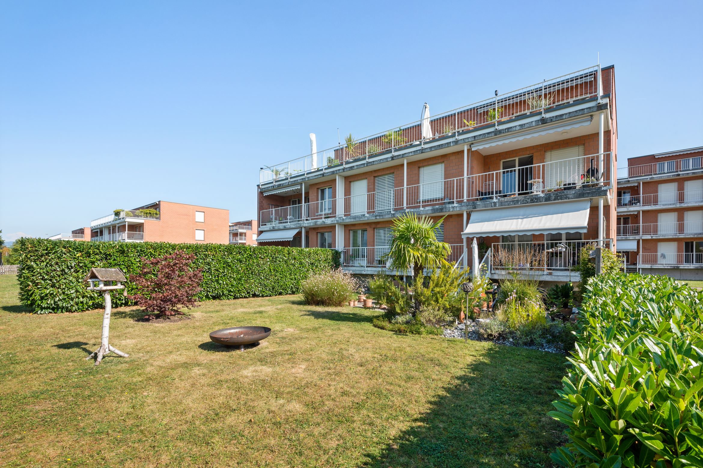 Backbone 51368 041 HD Backbone 51368 041 HD