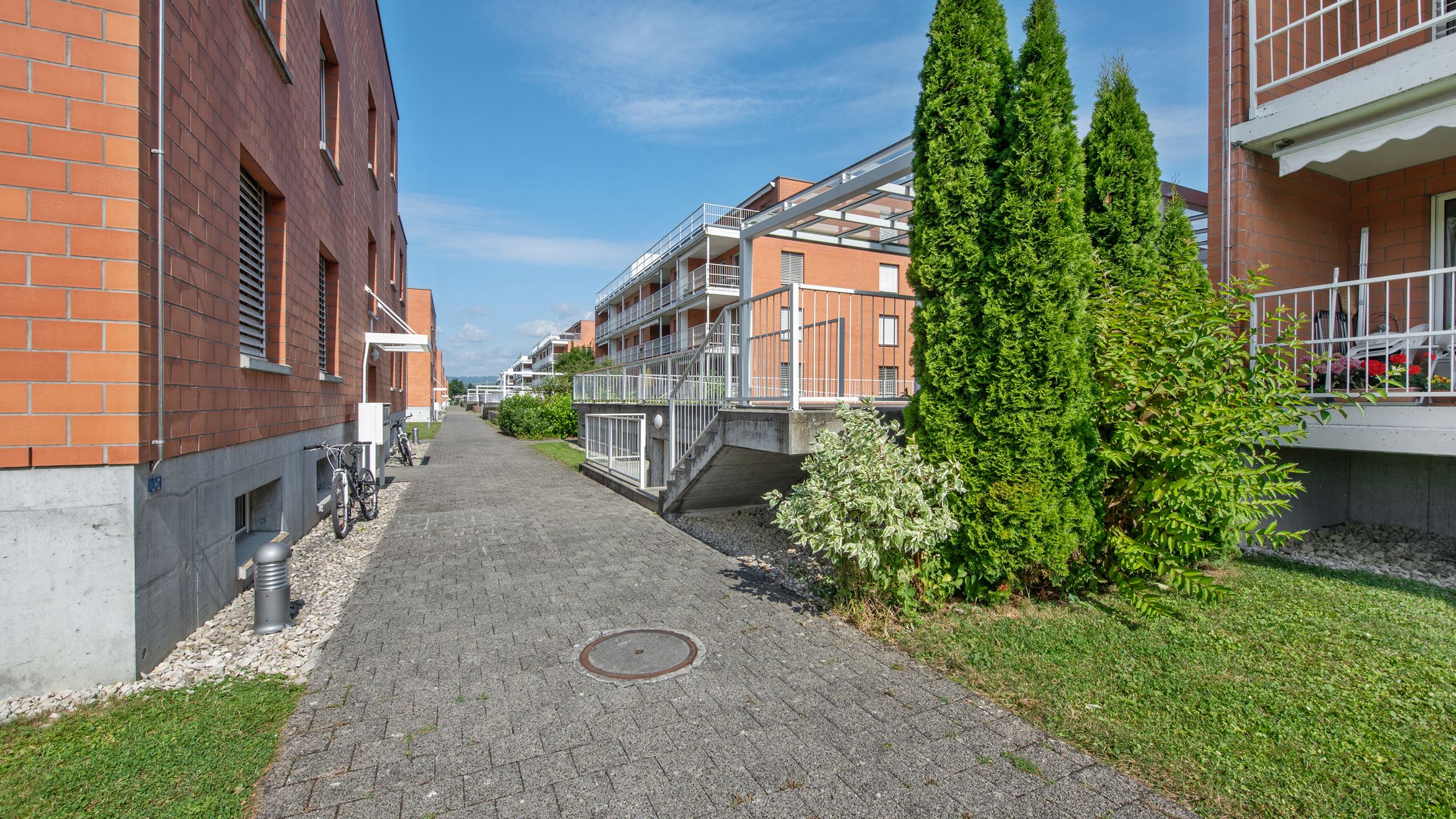 Backbone 50651 145 HD Backbone 50651 145 HD