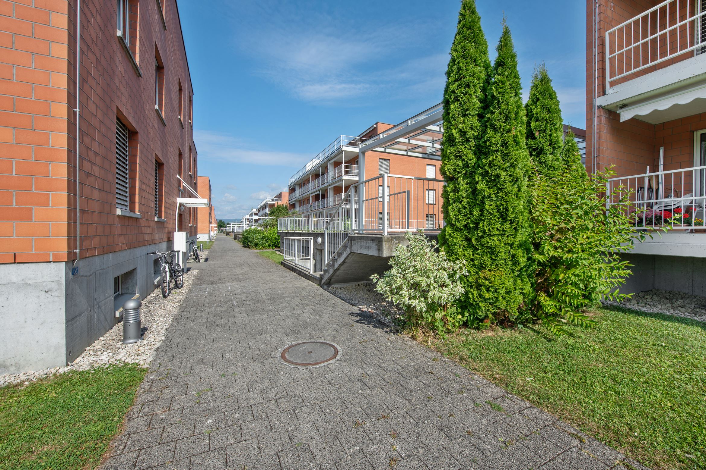 Backbone 50651 145 HD Backbone 50651 145 HD