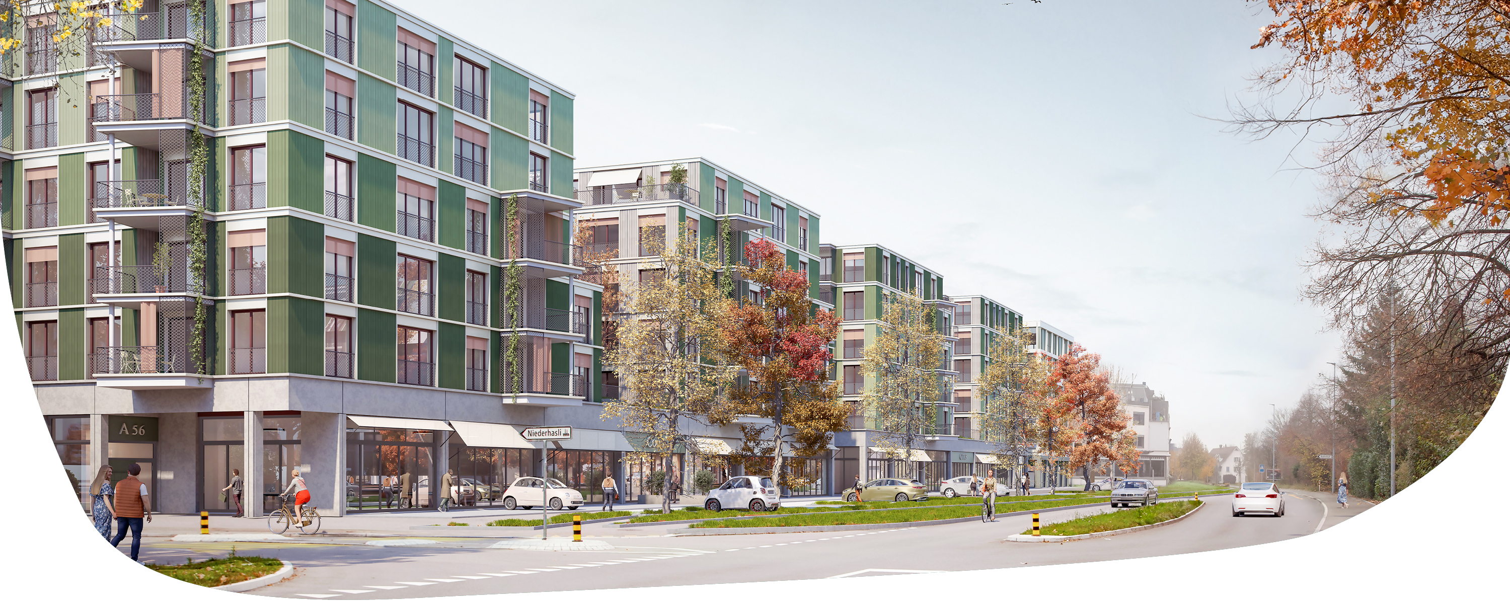 Im Farn Header Mandach