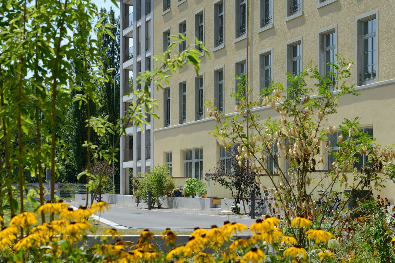 Windisch, Kunzareal, Gbäude Spinnerei III Windisch, Kunzareal, Gbäude Spinnerei III