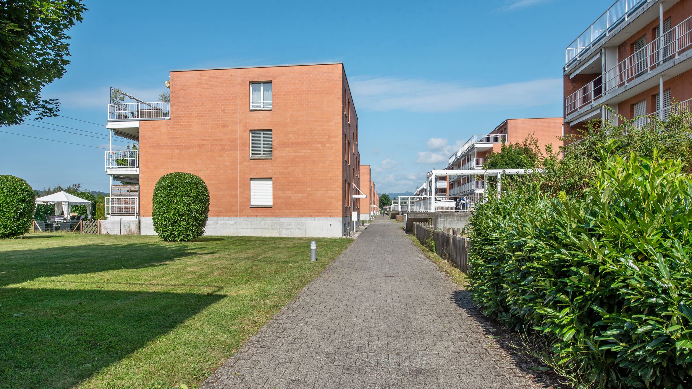 Backbone 50651 142 HD Backbone 50651 142 HD