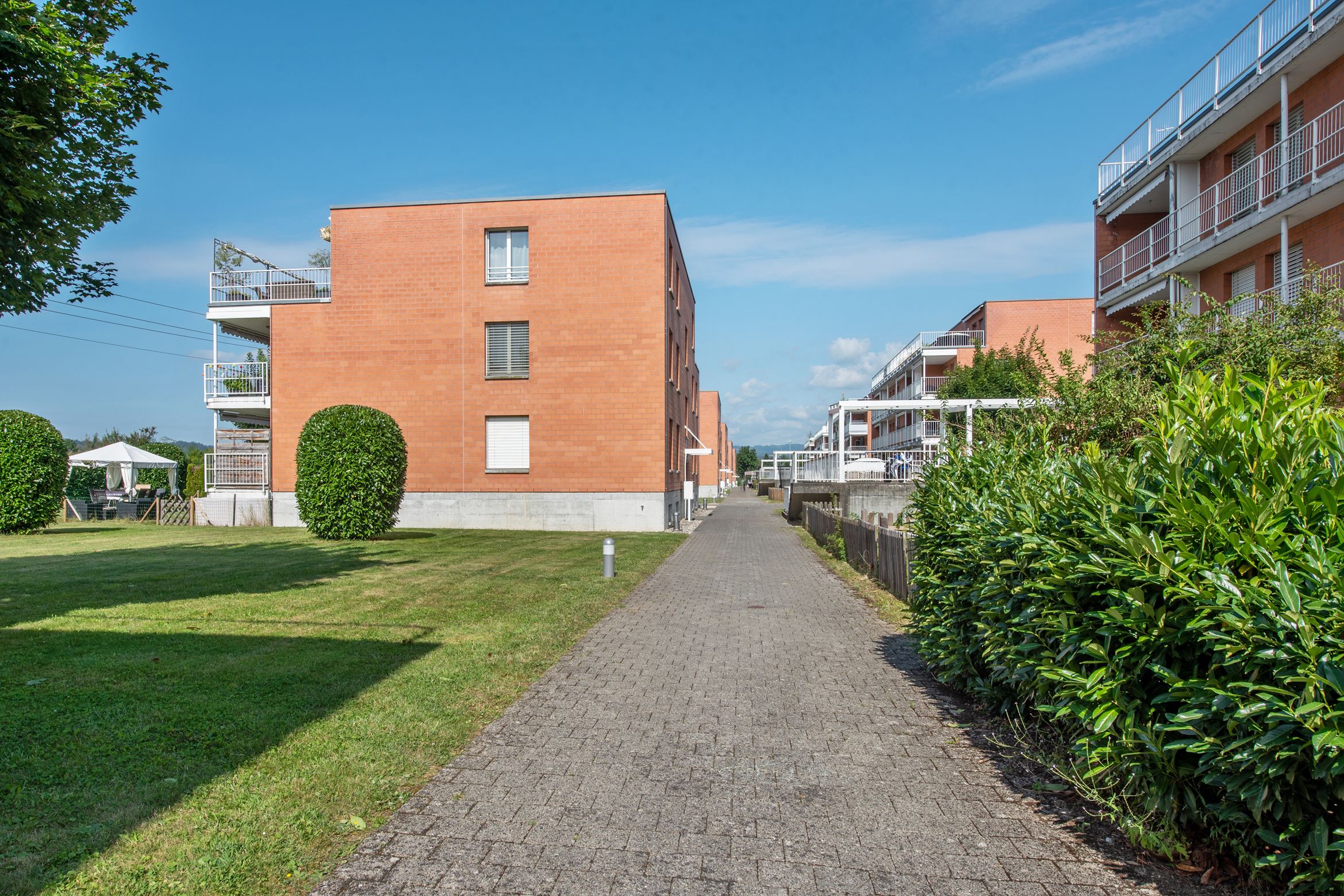 Backbone 50651 142 HD Backbone 50651 142 HD