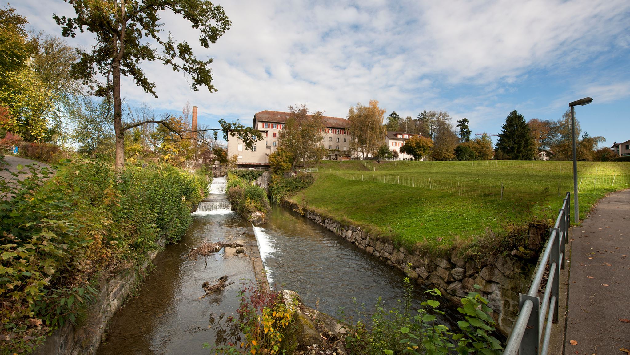 Wetzikon Schoenau Wiese