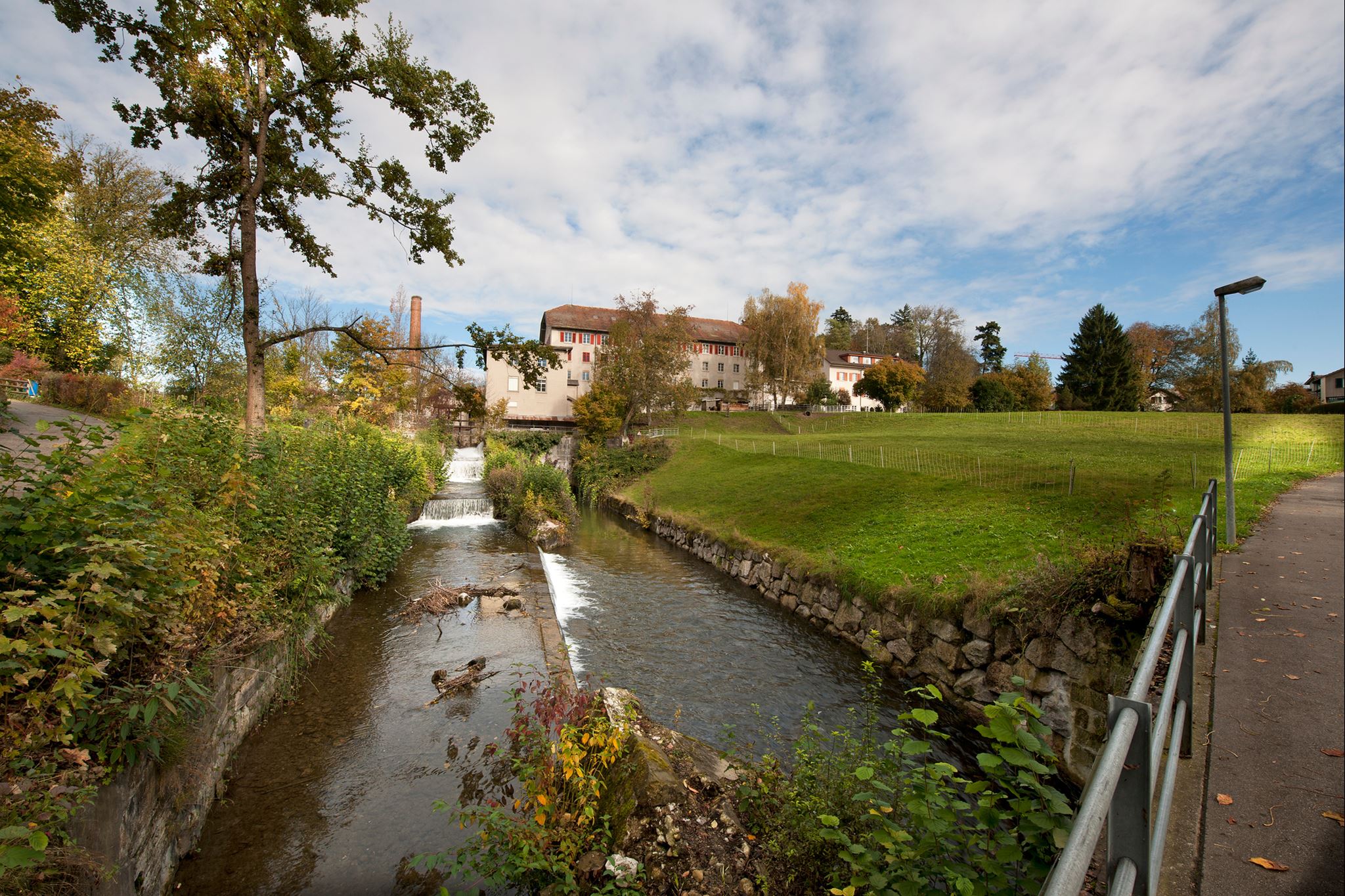 Wetzikon Schoenau Wiese Wetzikon Schoenau Wiese