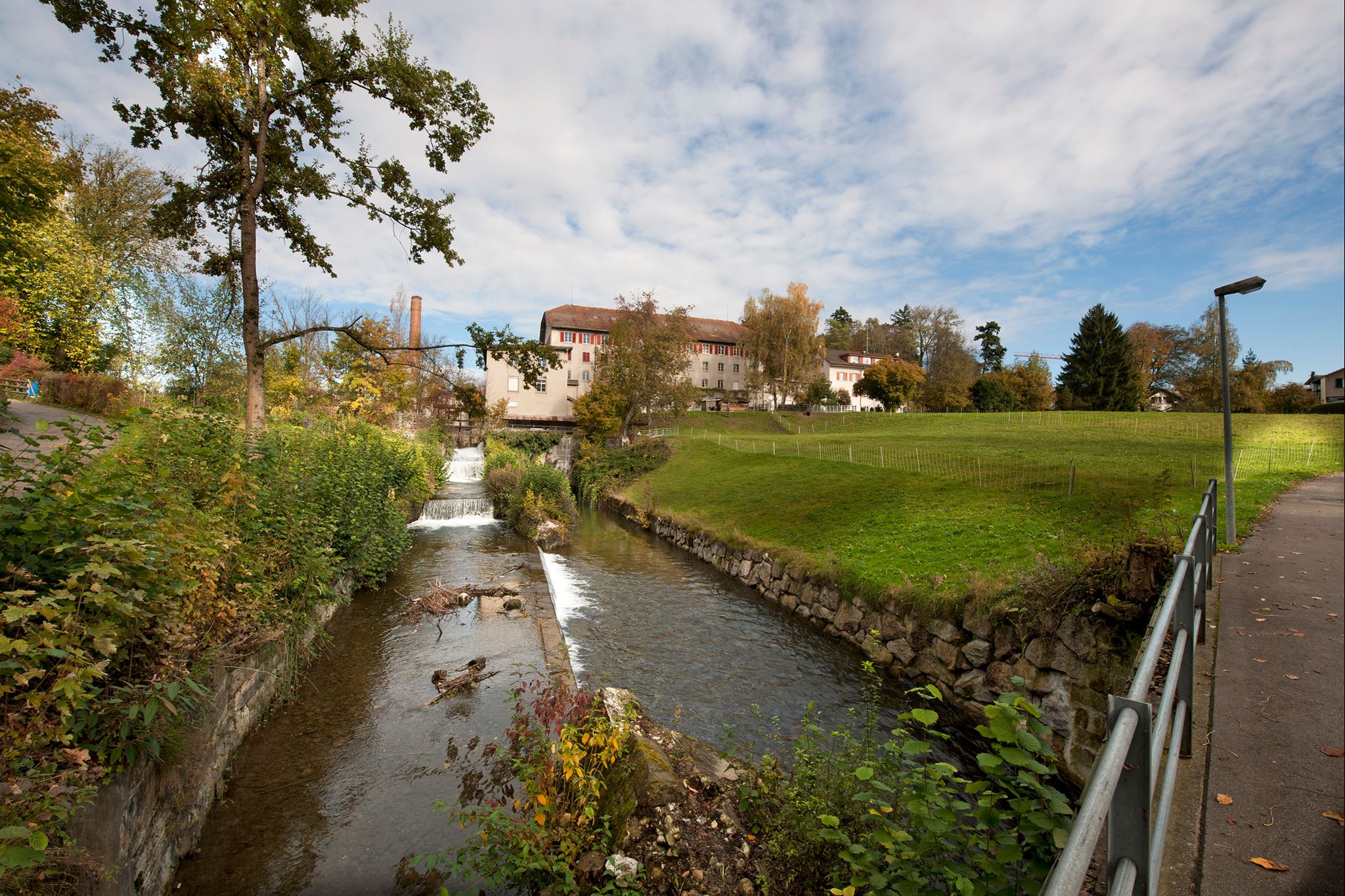 Wetzikon Schoenau Wiese